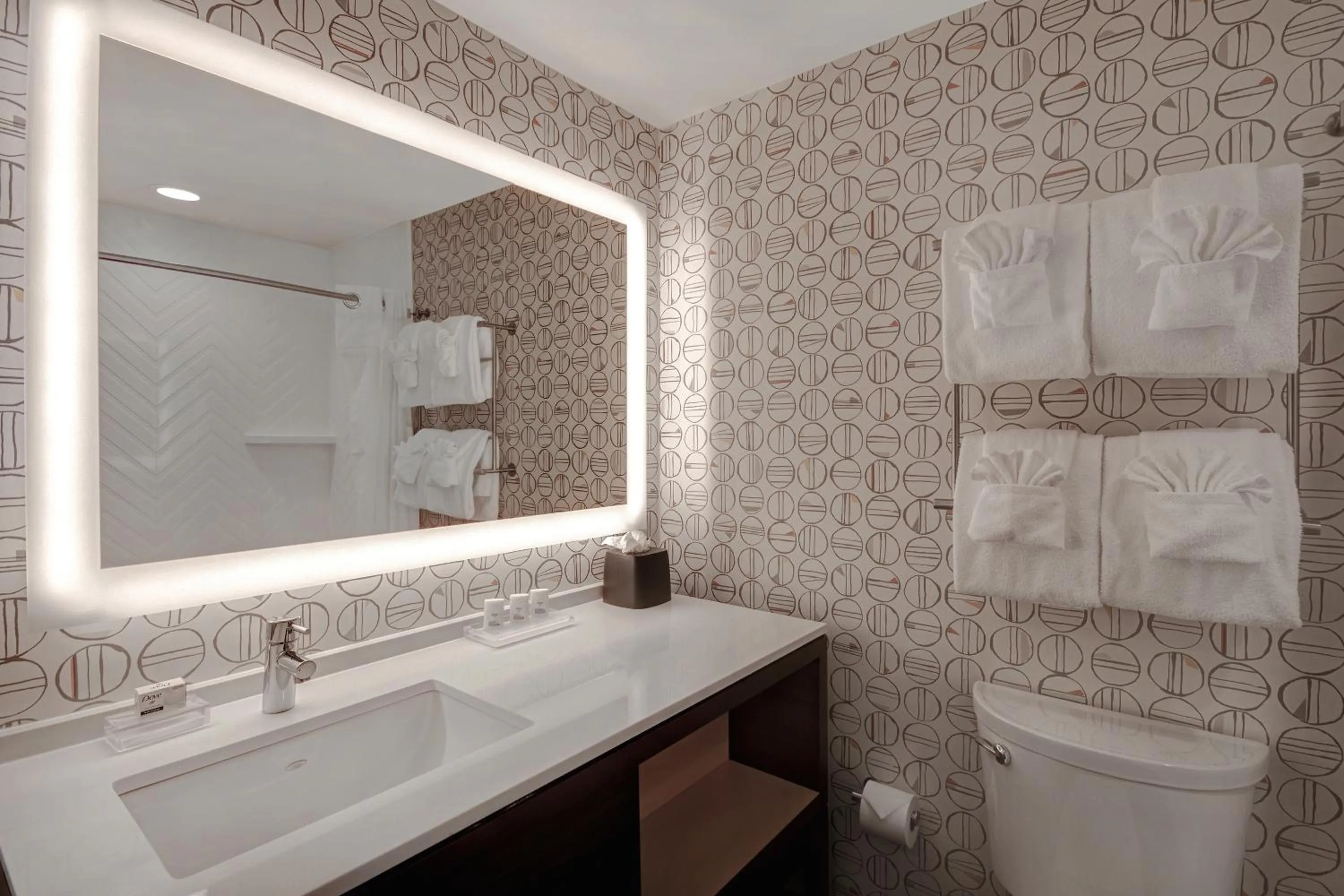 Bathroom in Holiday Inn Detroit Northwest - Livonia by IHG