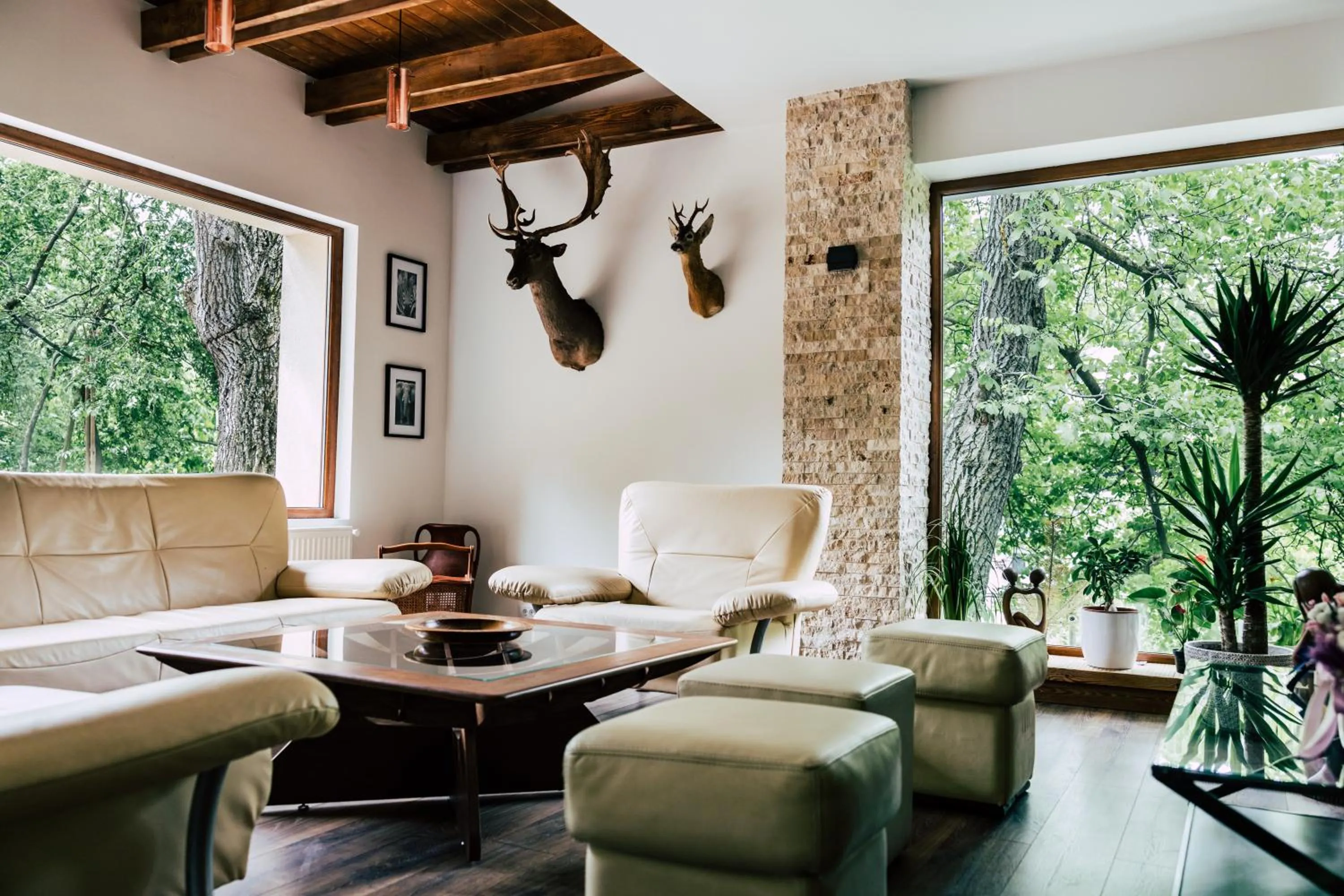 MER Guest House B&B