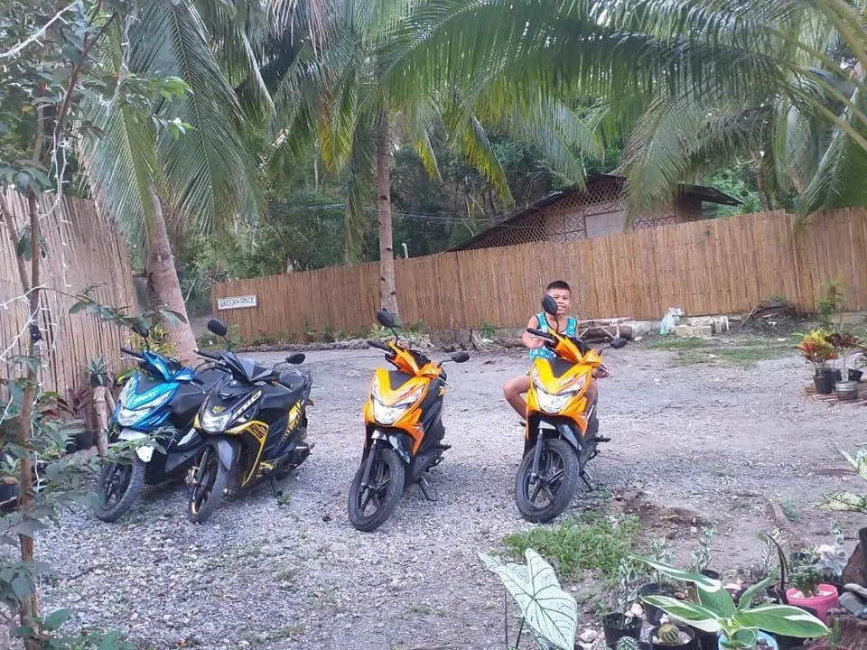 Property building in GREENSPACE