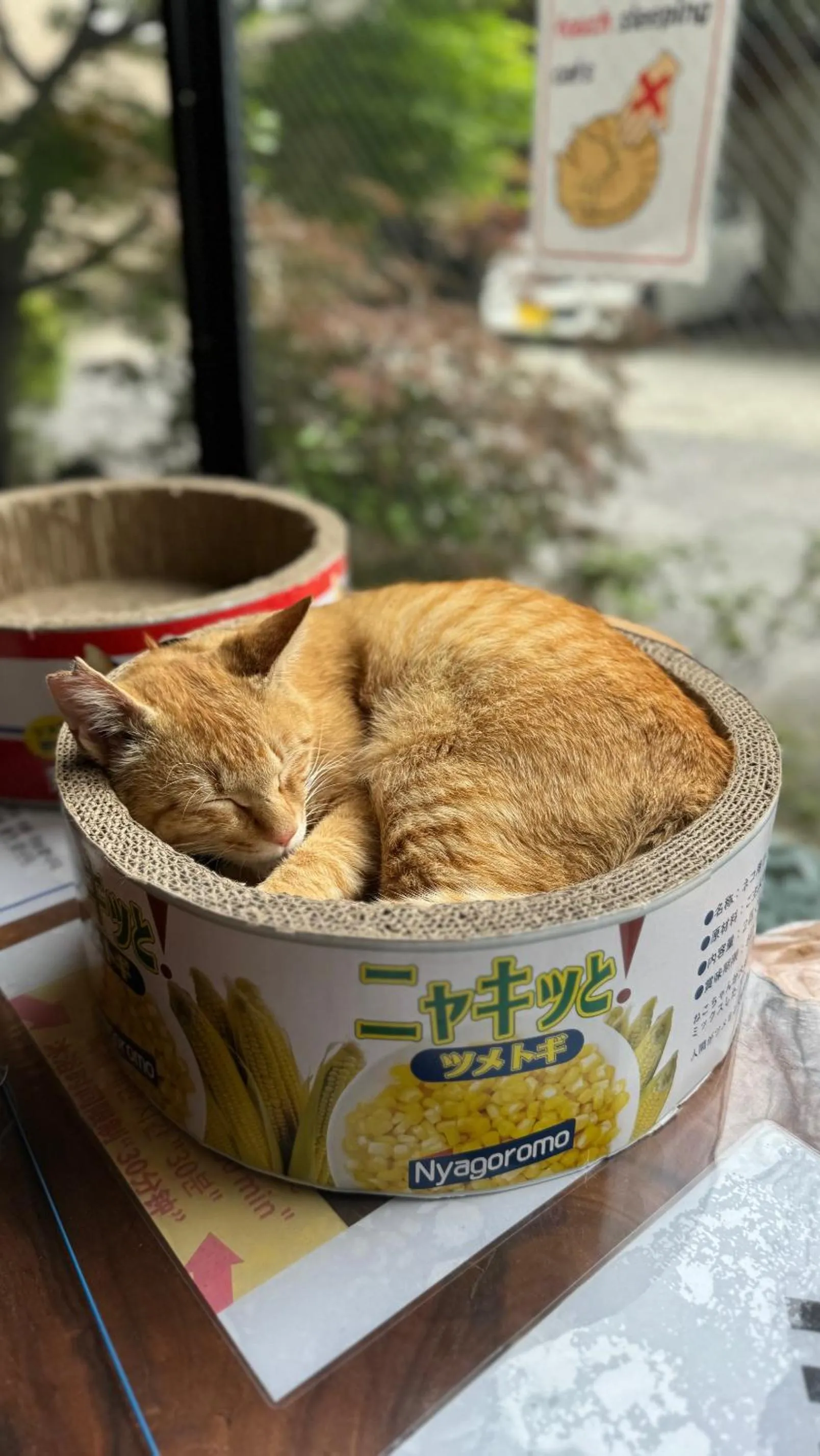 Lobby or reception in Yufuin Akarinoyado