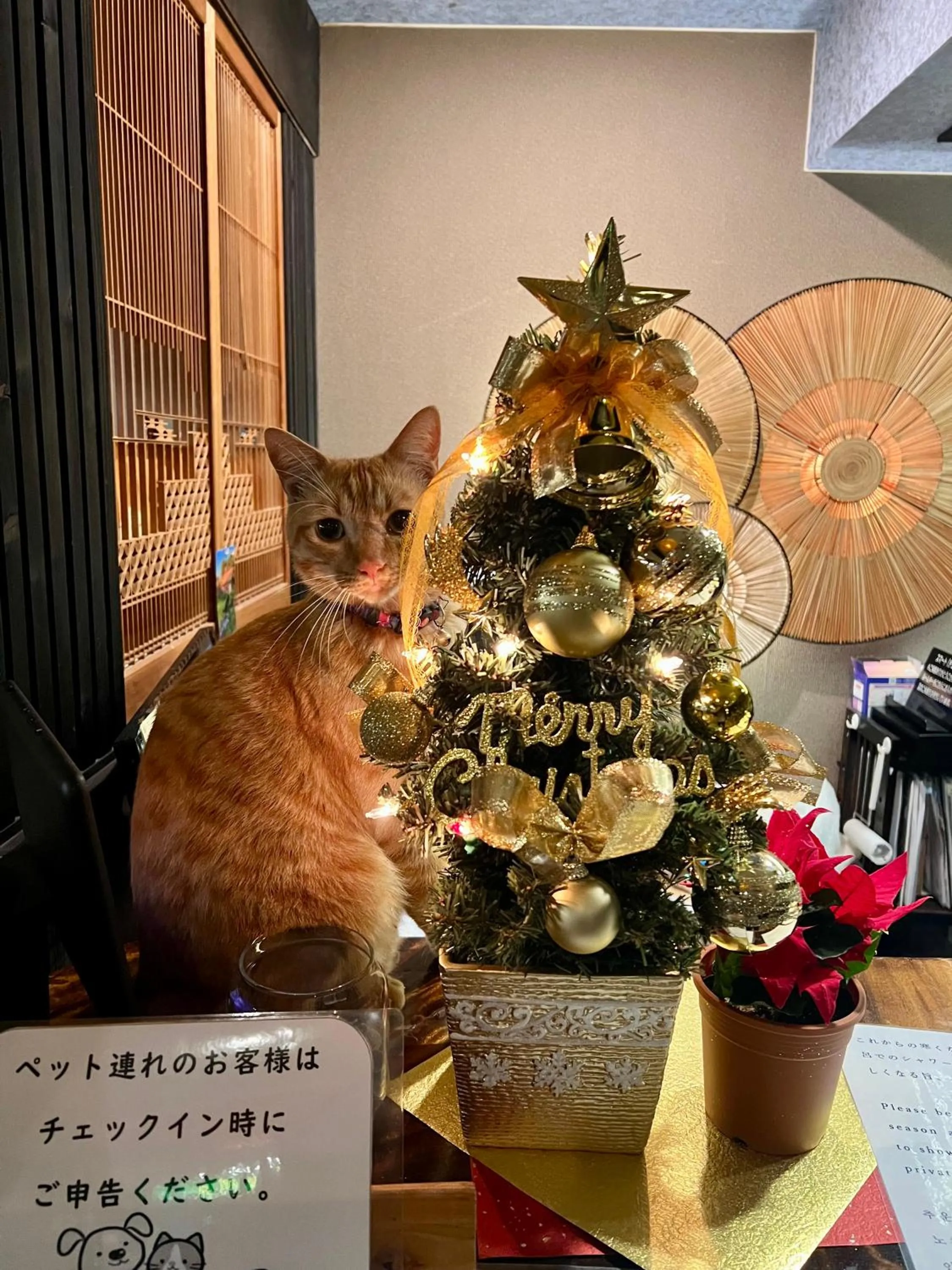 Lobby or reception in Yufuin Akarinoyado