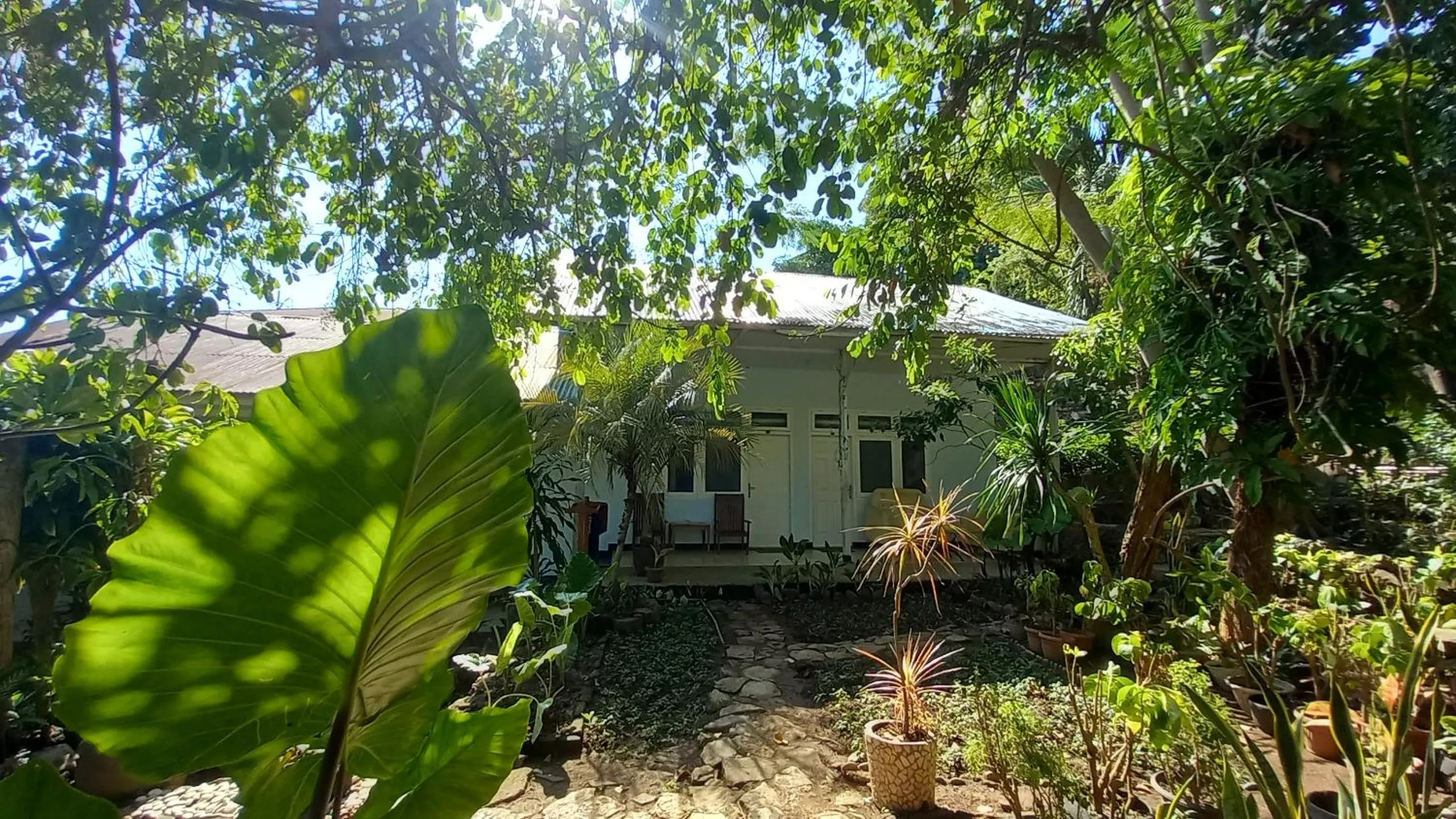 View (from property/room) in Bajo Hotel