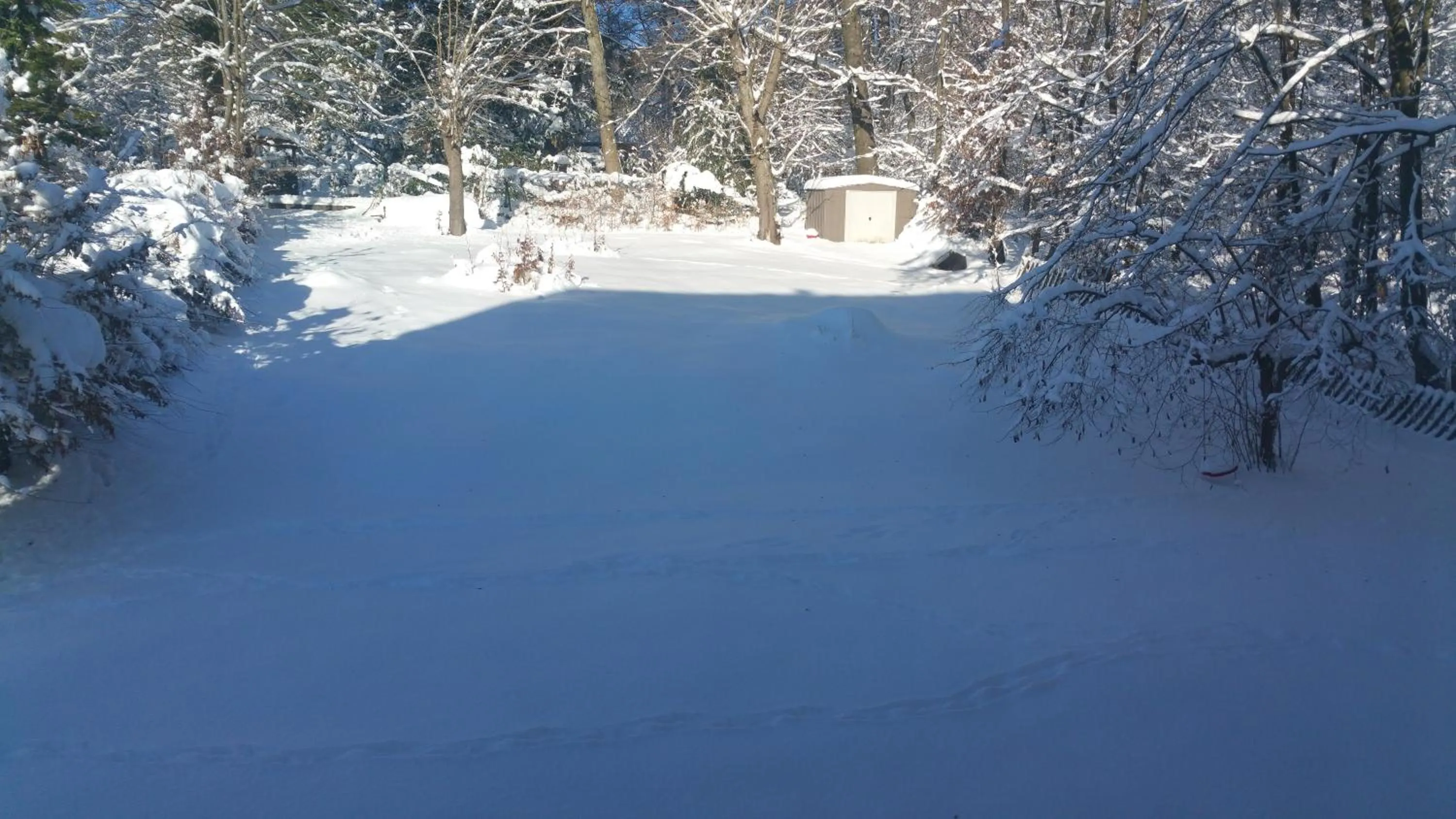 Garden view in Panorama Hotel Pension Frohnau