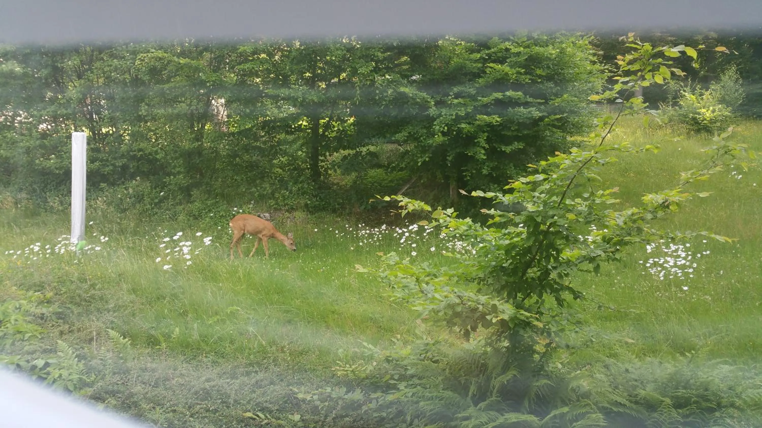 View (from property/room) in Panorama Hotel Pension Frohnau