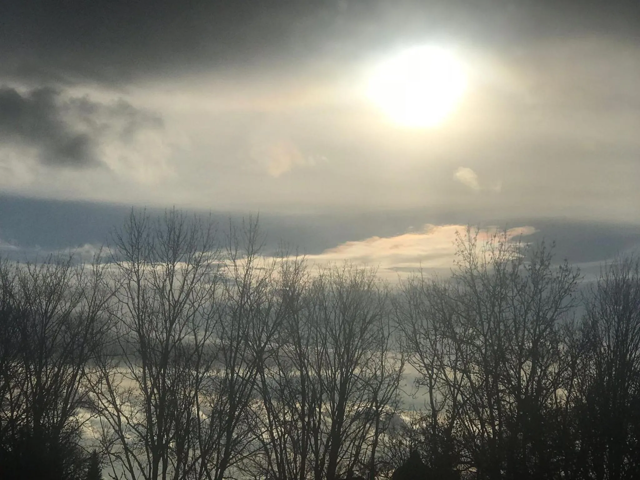 View (from property/room) in Panorama Hotel Pension Frohnau