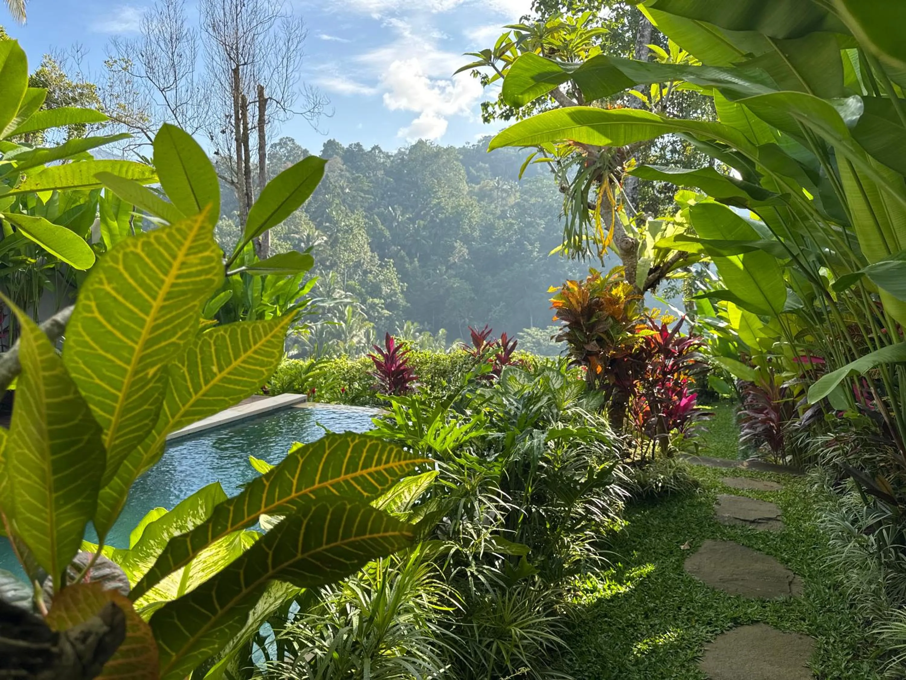 Natural landscape in The Sidemen Villa