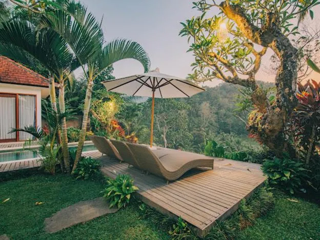 Garden view in The Sidemen Villa