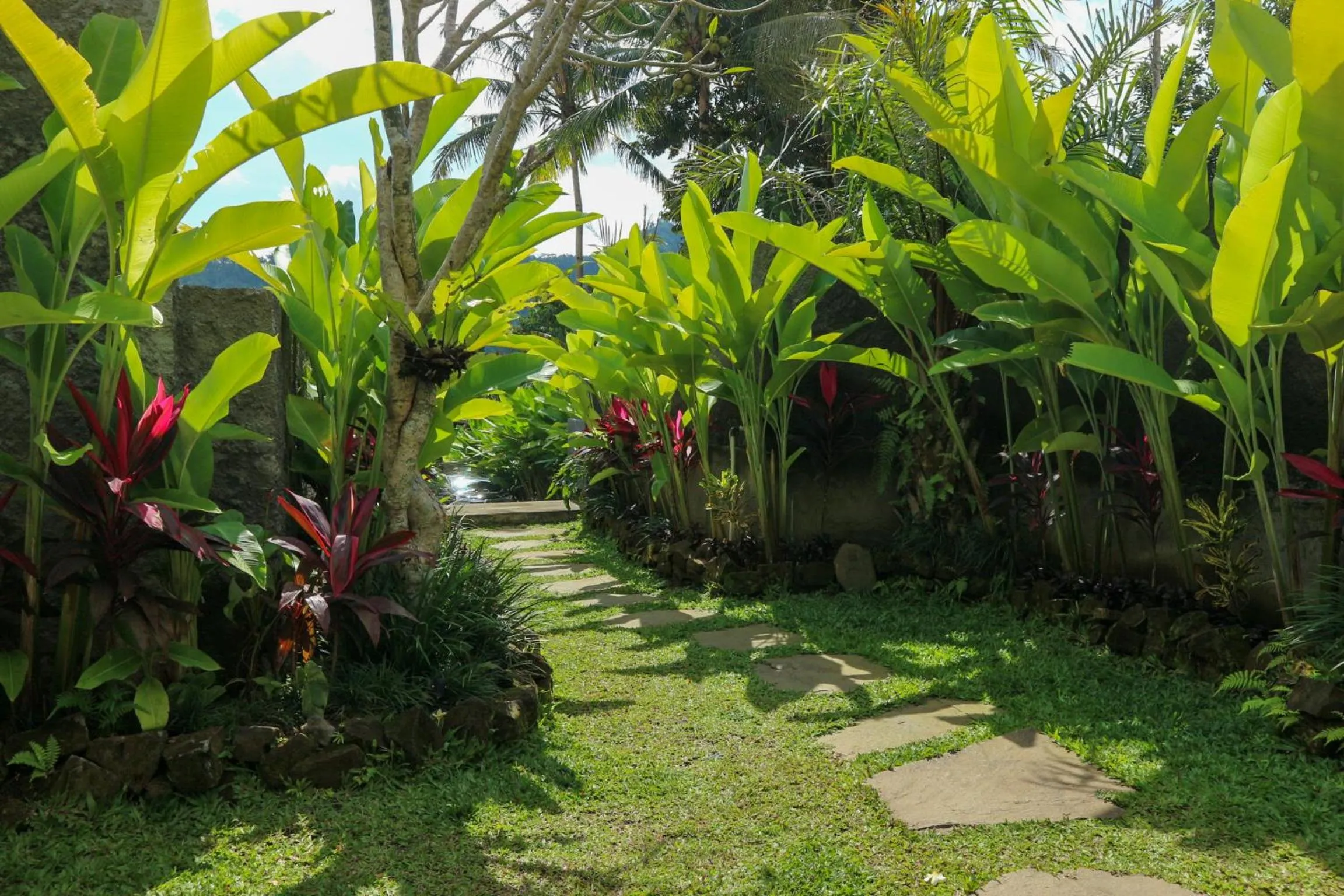 Garden in The Sidemen Villa