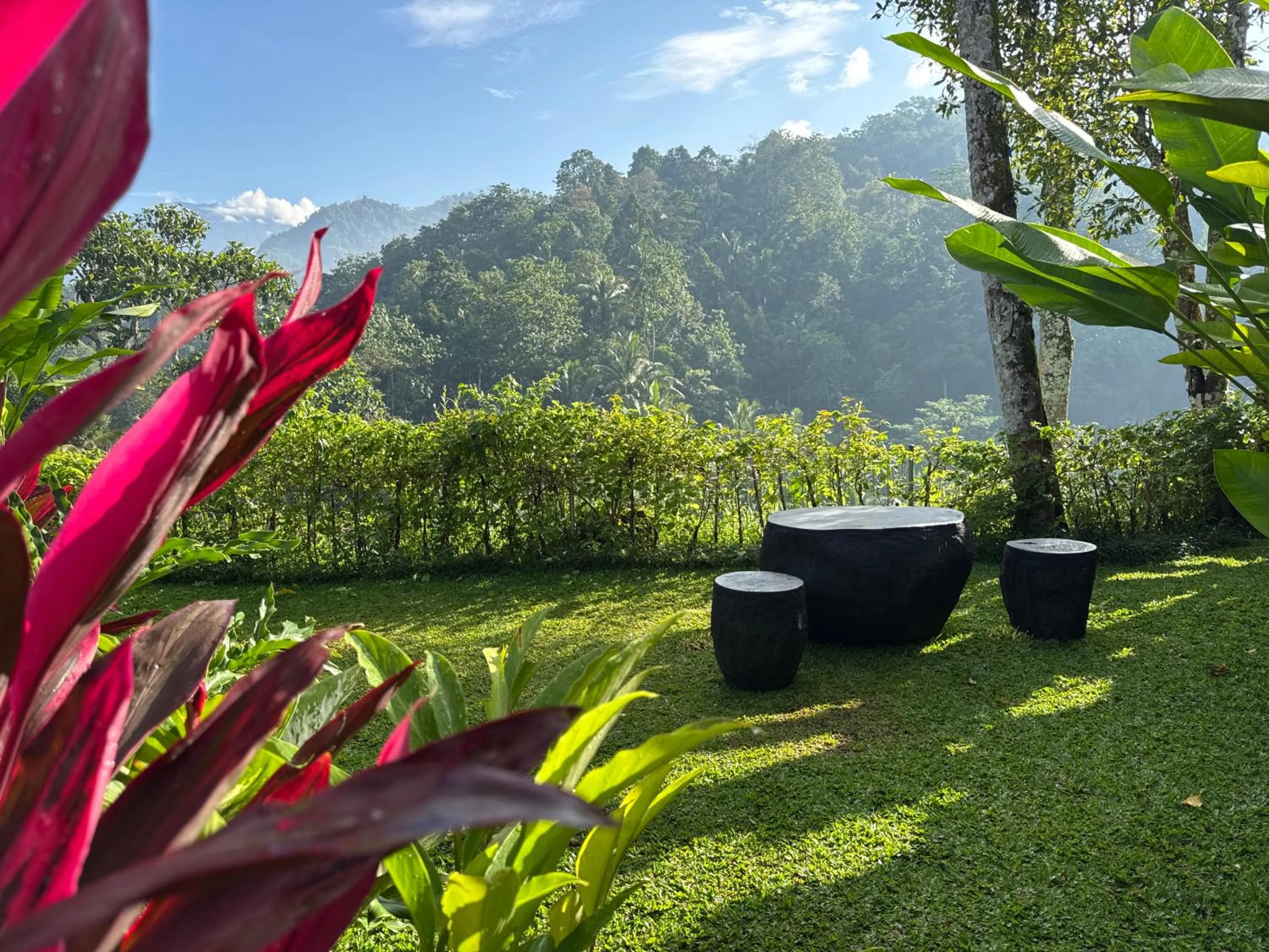 Natural landscape in The Sidemen Villa