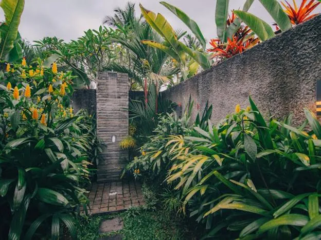 Natural landscape in The Sidemen Villa