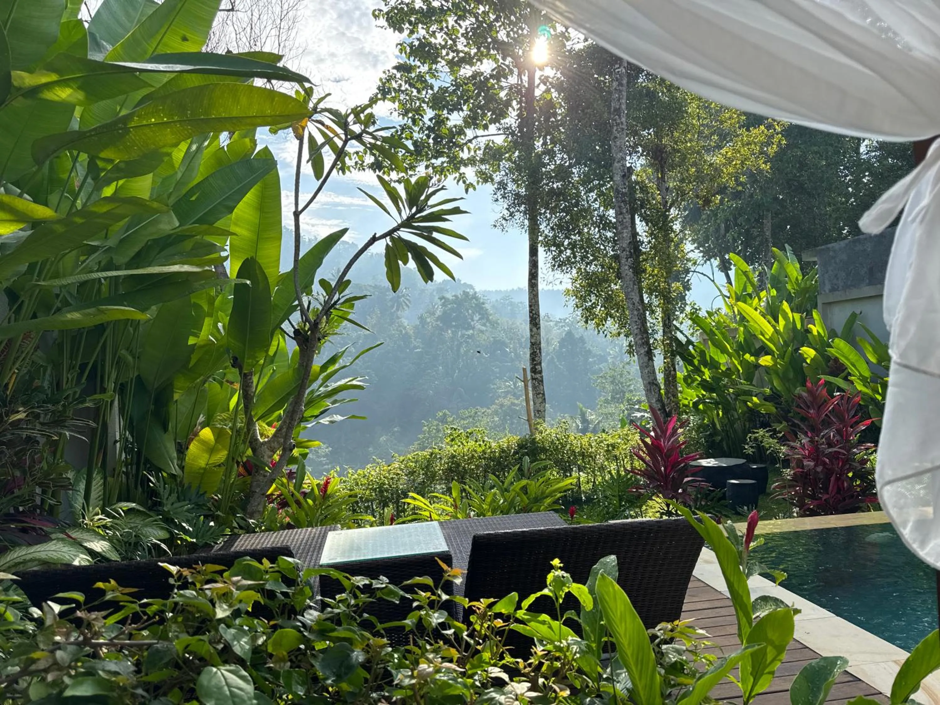 Garden in The Sidemen Villa