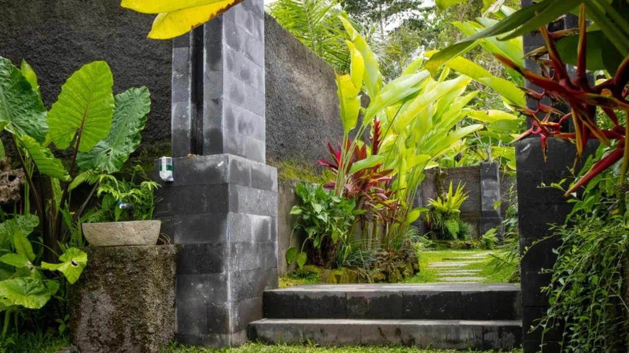 Garden in The Sidemen Villa