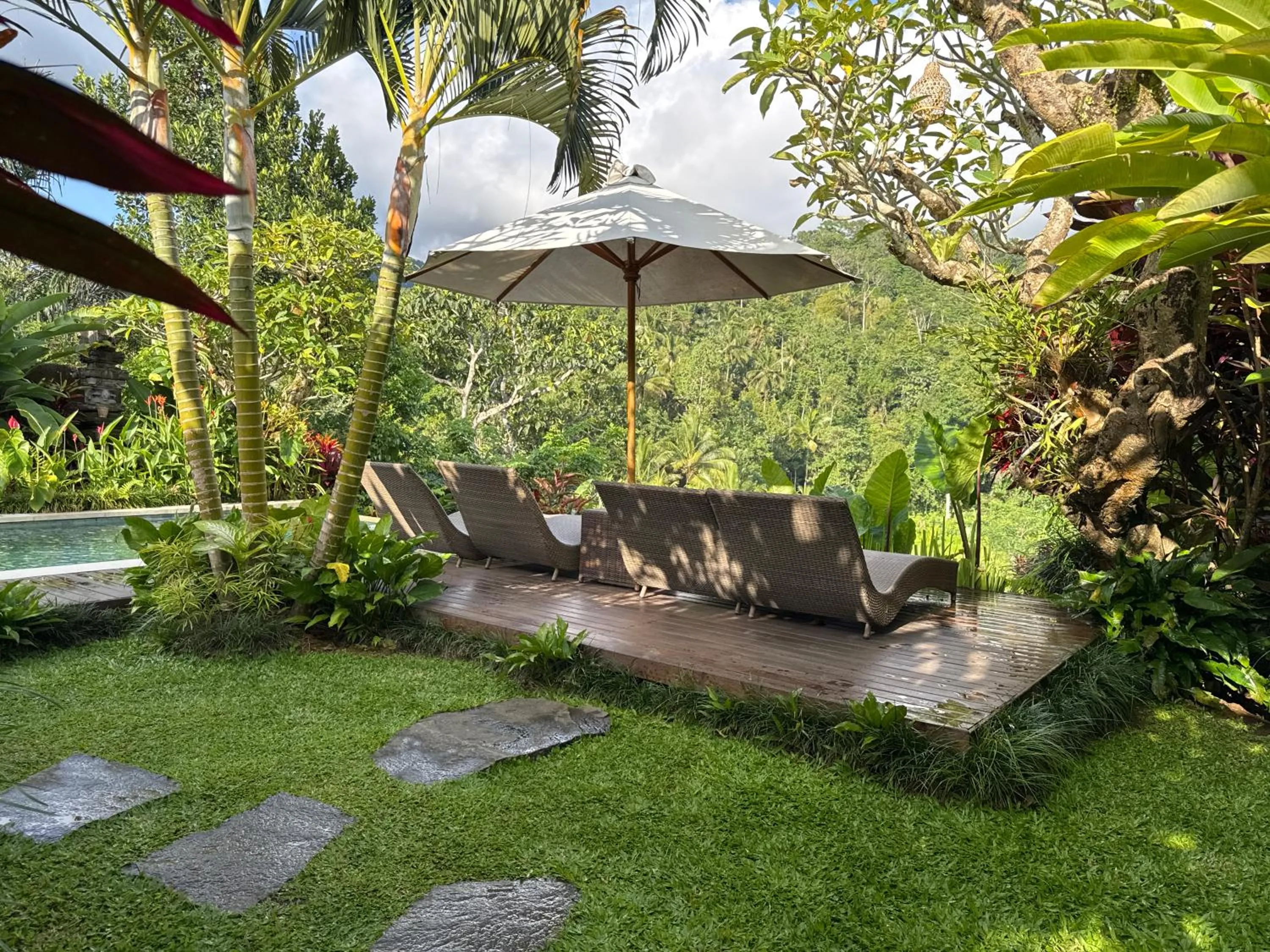 Garden in The Sidemen Villa
