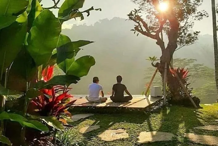 Garden view in The Sidemen Villa