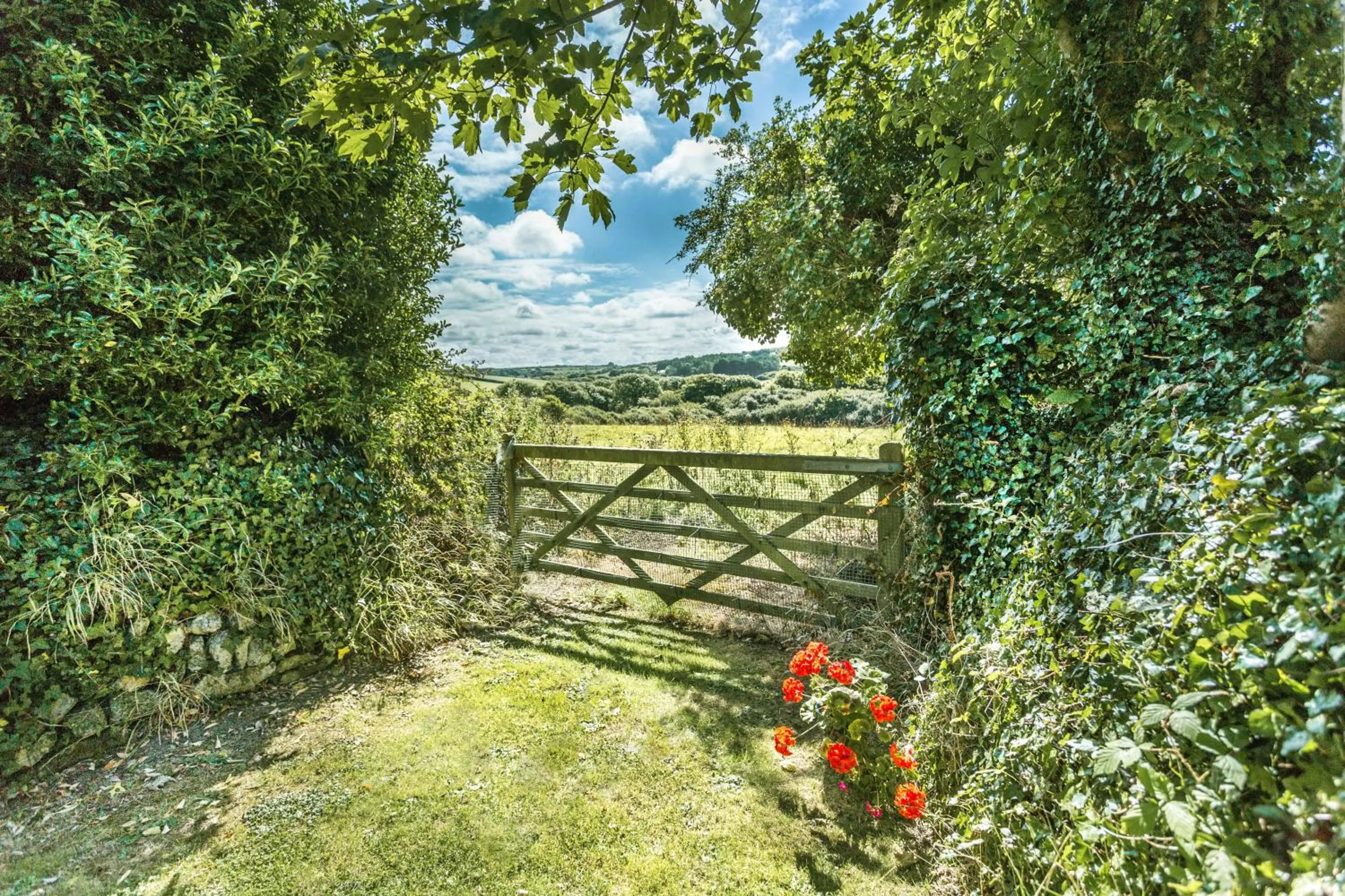 Natural landscape in Pear Tree Barn - Amazing Country views - Pet friendly - Balcony