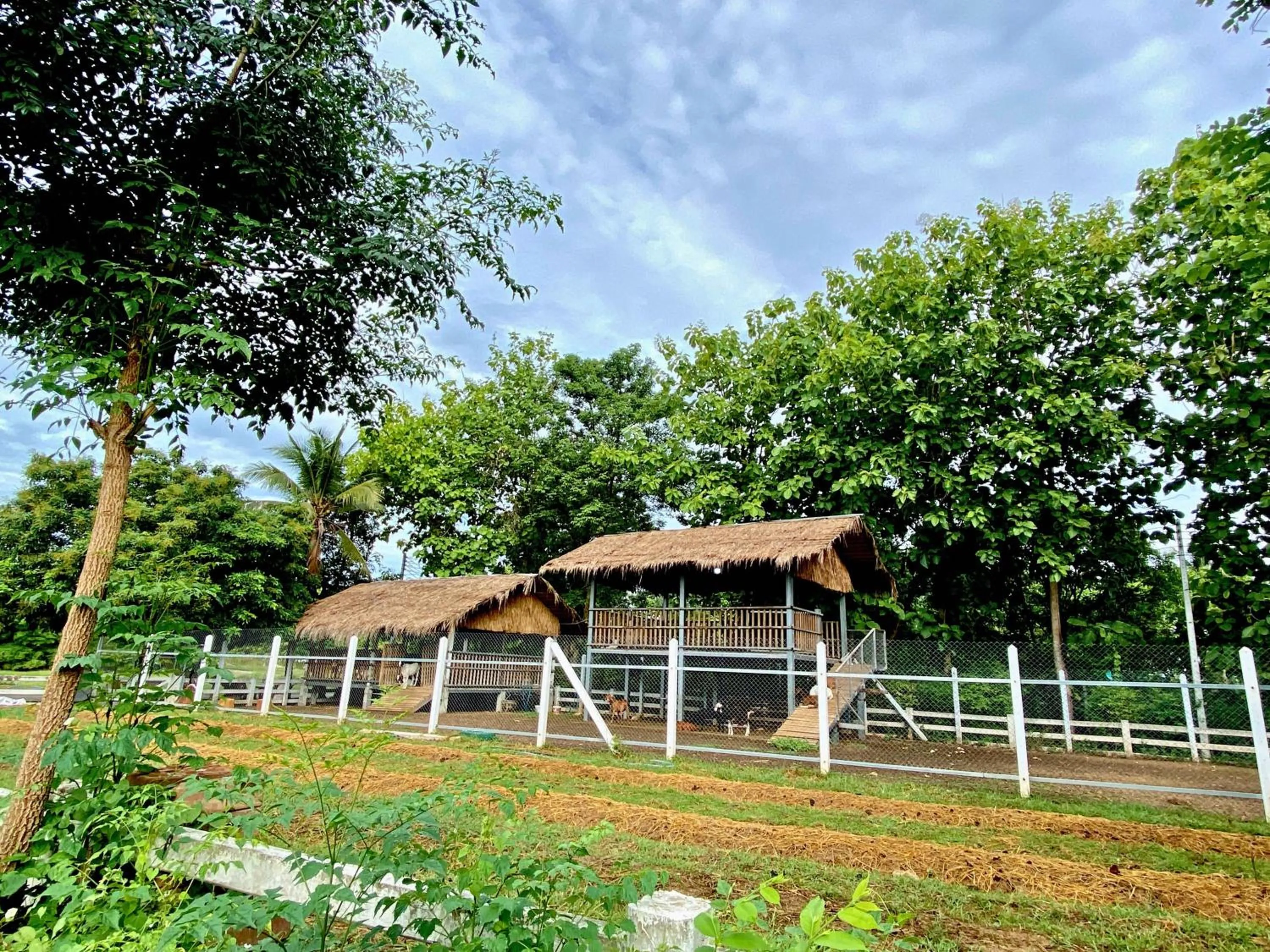 Natural landscape in AURA Park Resort