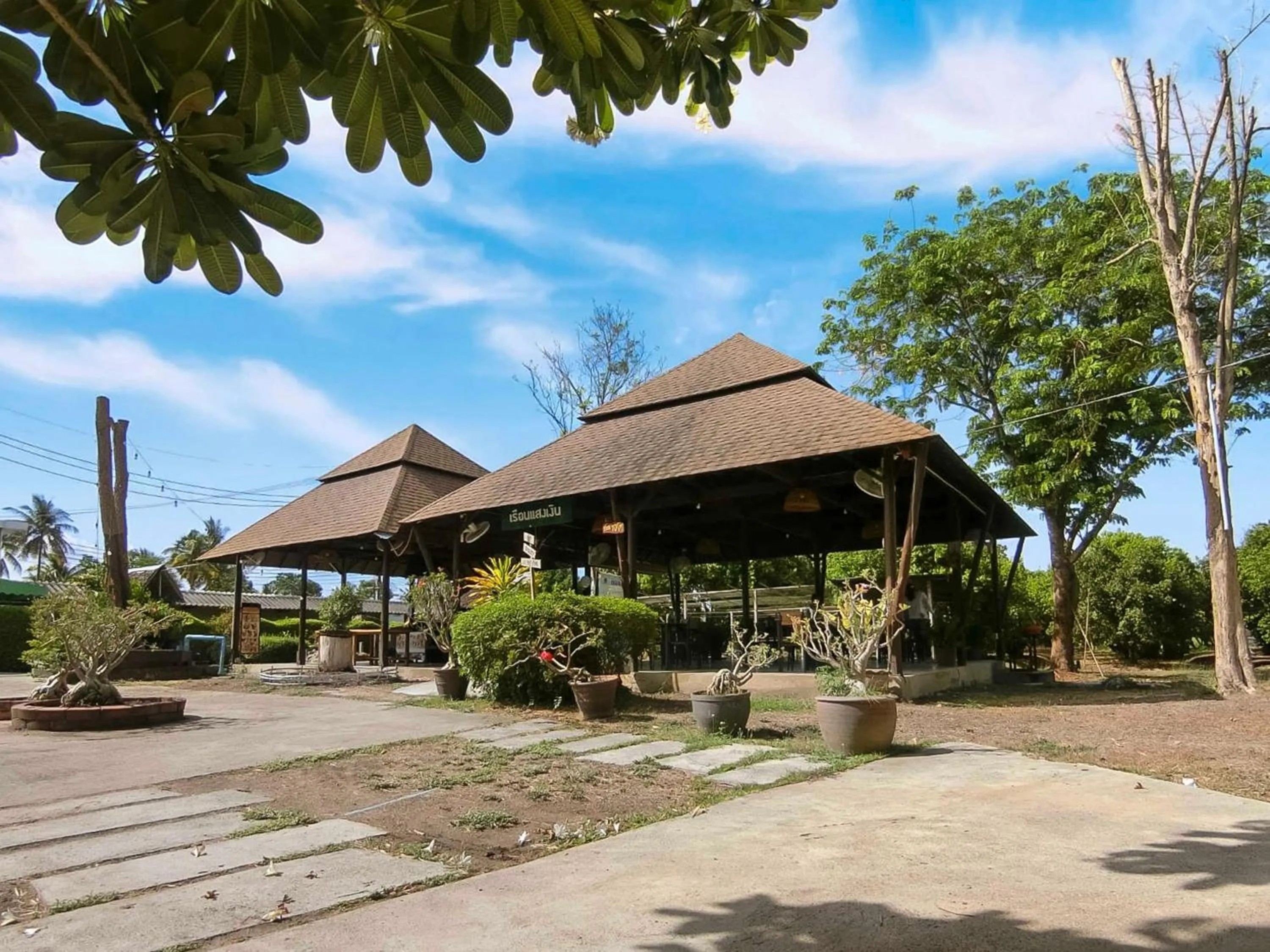 View (from property/room) in AURA Park Resort