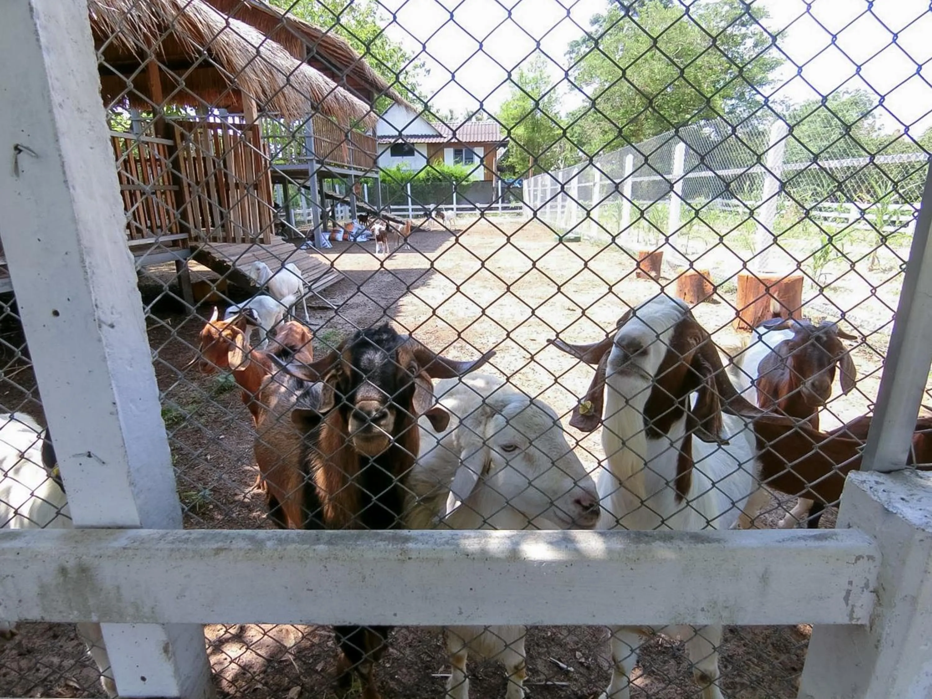 Activities in AURA Park Resort