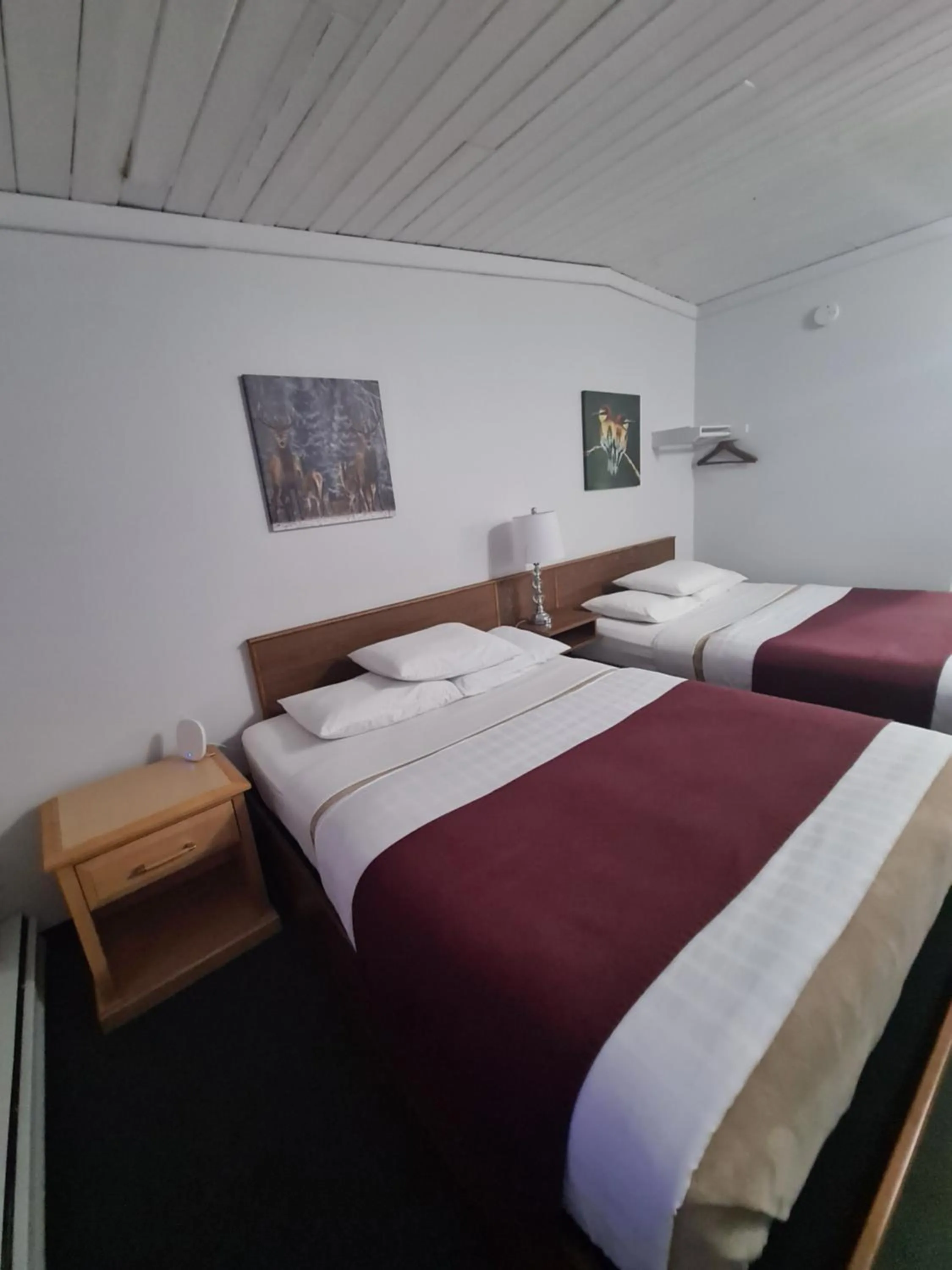 Bed in Sundowner Motel