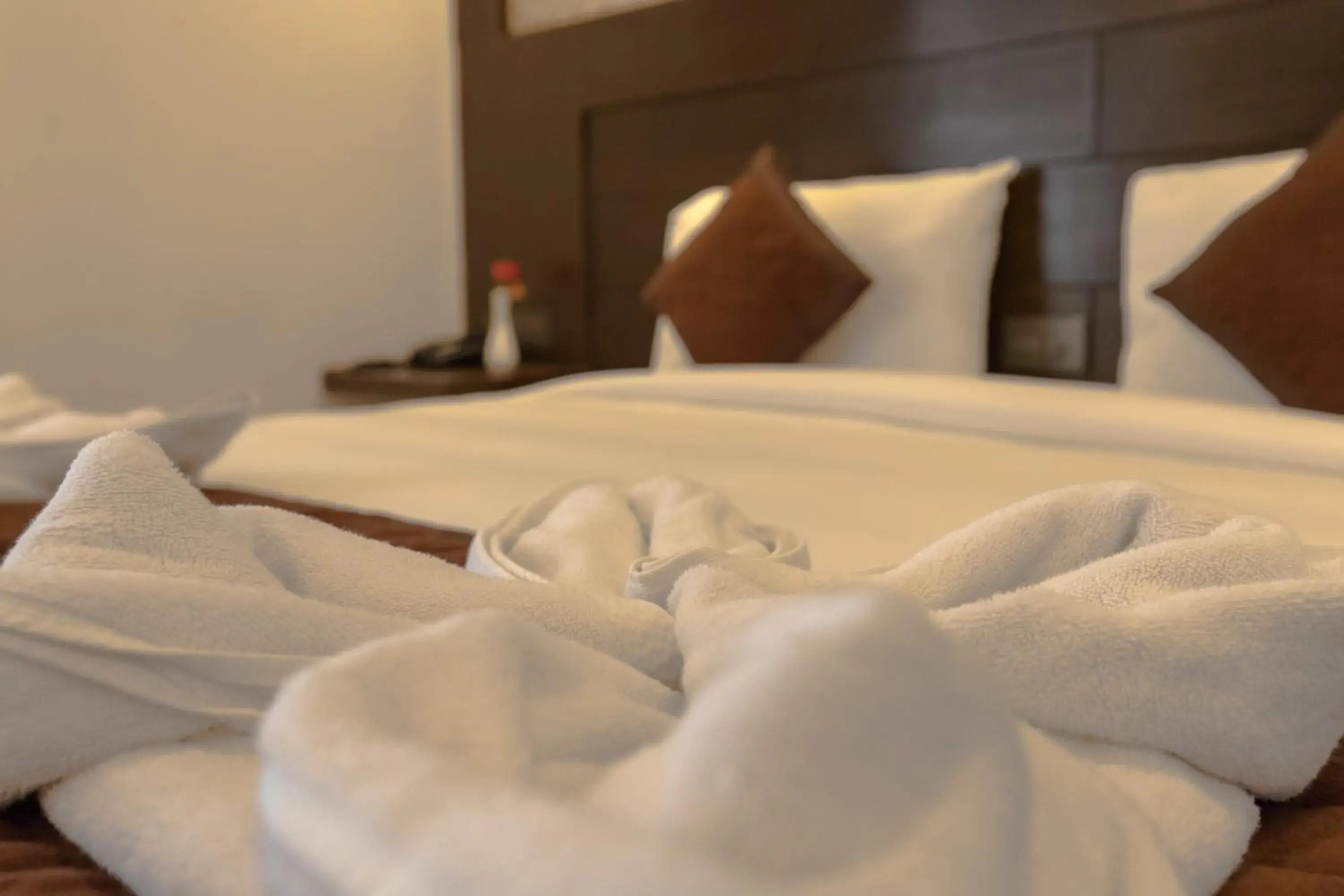 Deluxe Room in Mourya Hotel Deluxe Room in Mourya Hotel