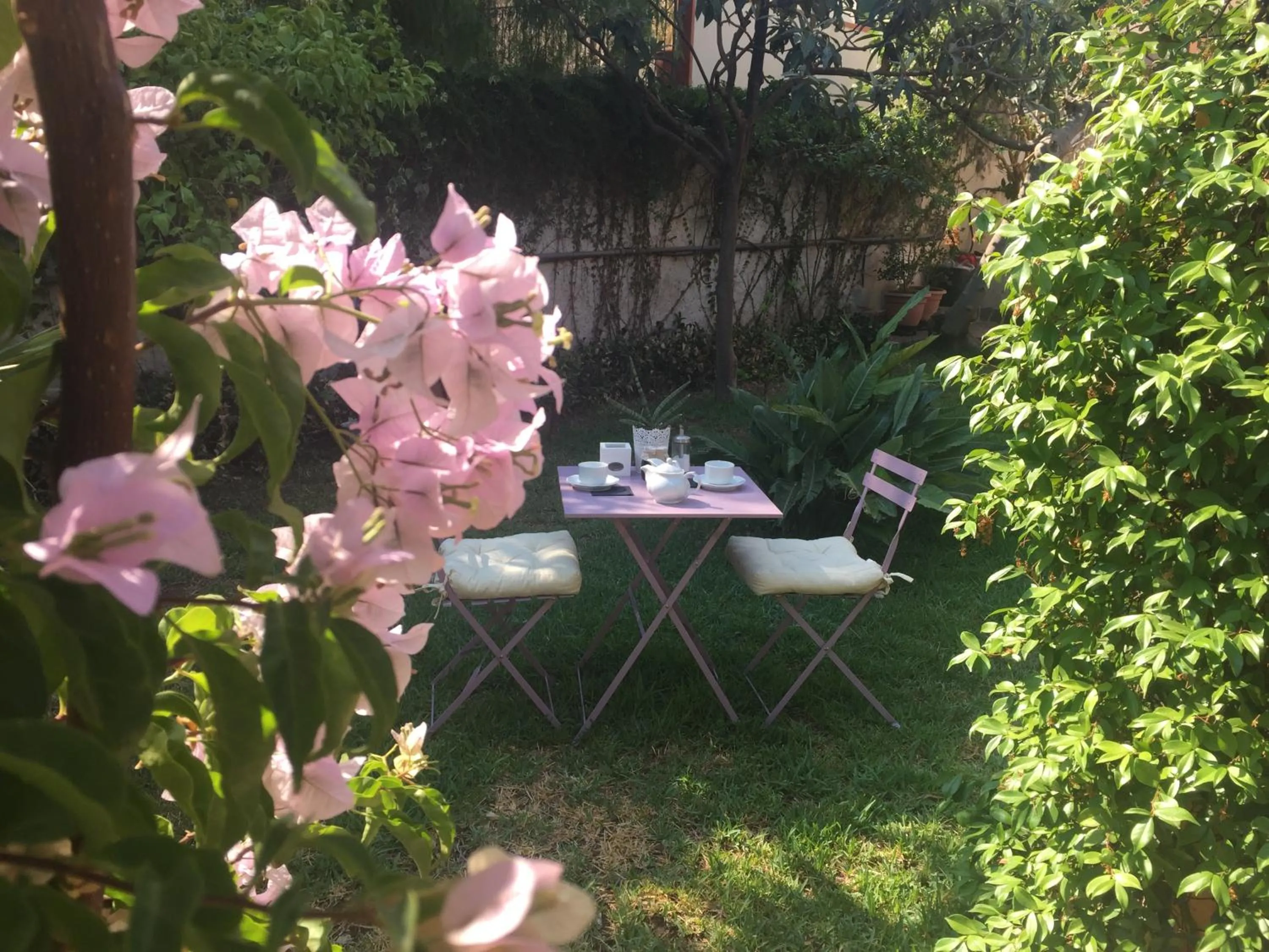 Garden in Villa la Rina