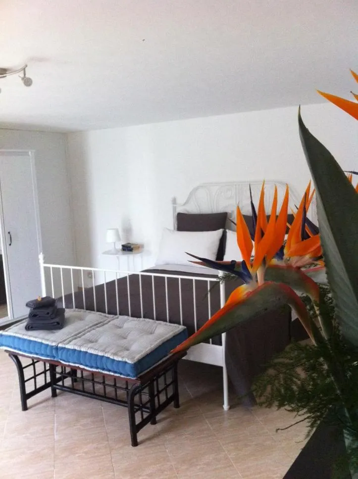 Photo of the whole room in Villa la Rina