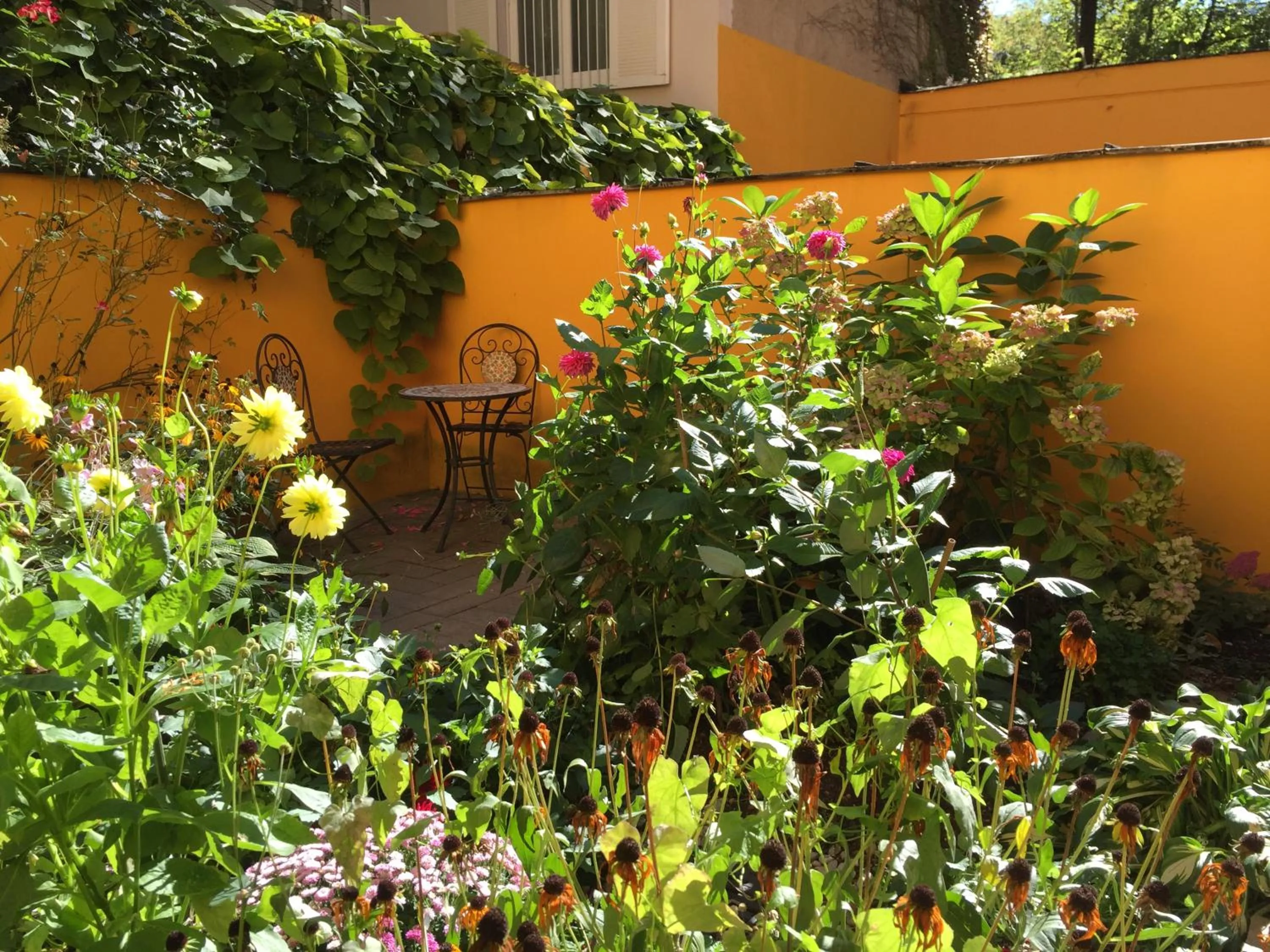 Garden in Hotel Antares München