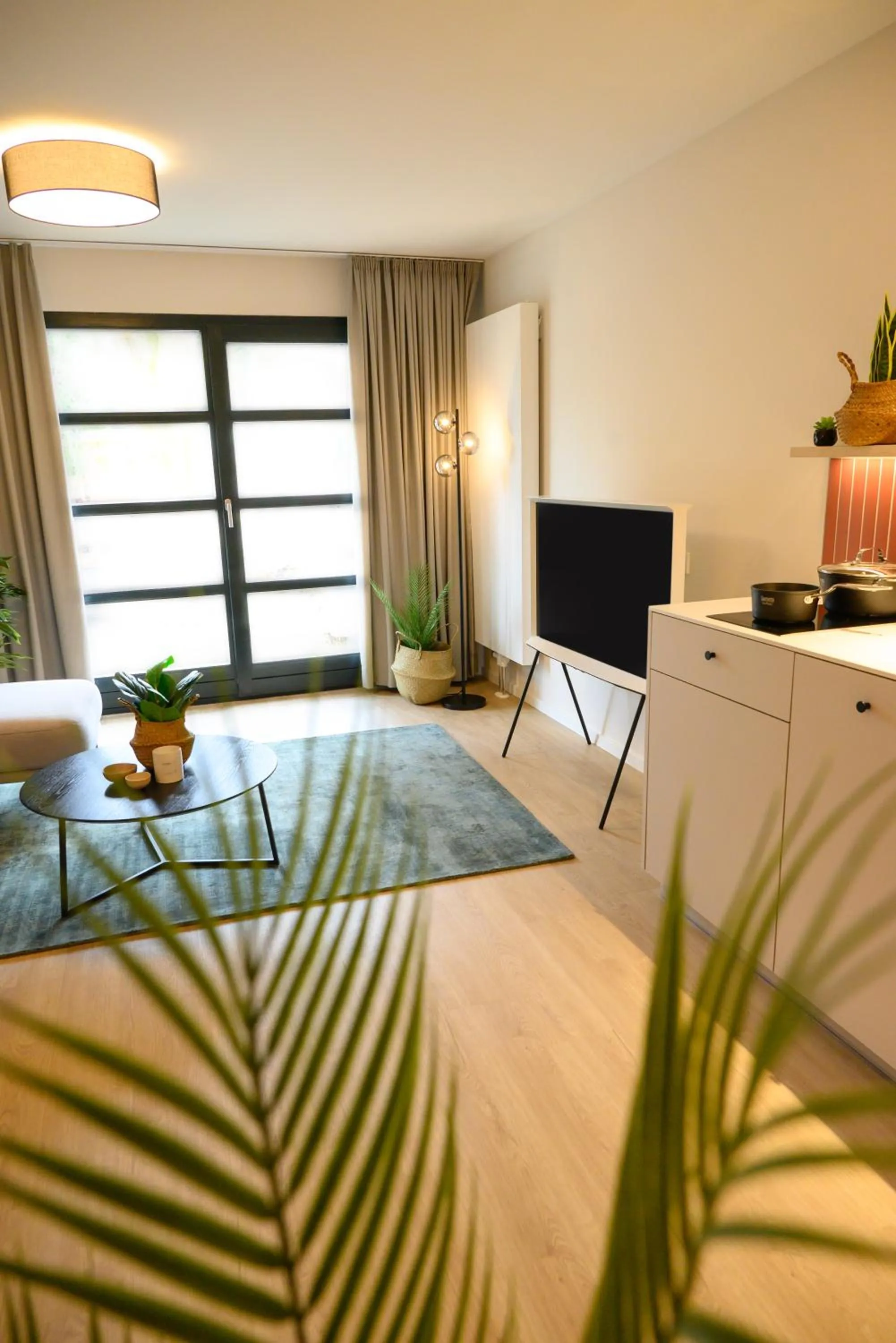 TV and multimedia in InselMühle