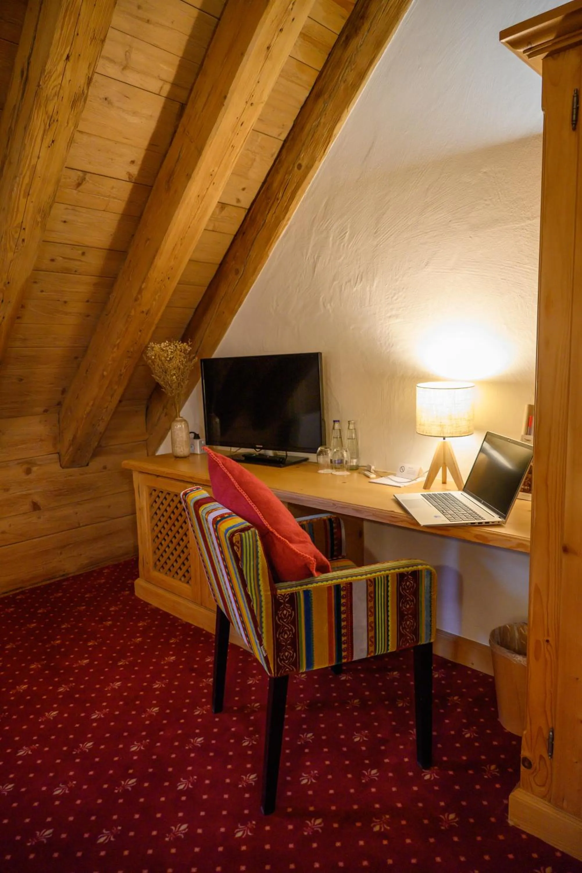 TV and multimedia in InselMühle