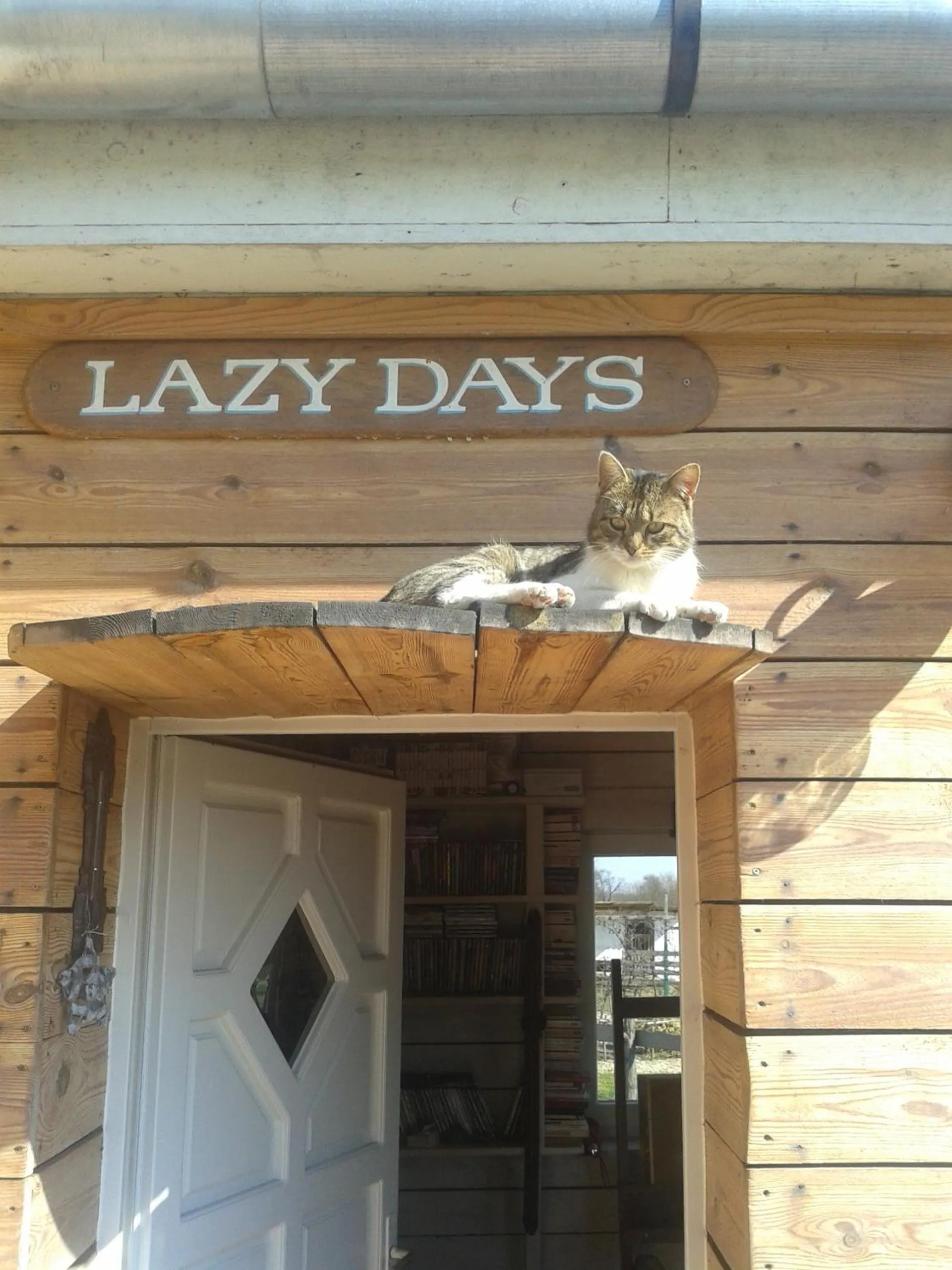 Lazy Days