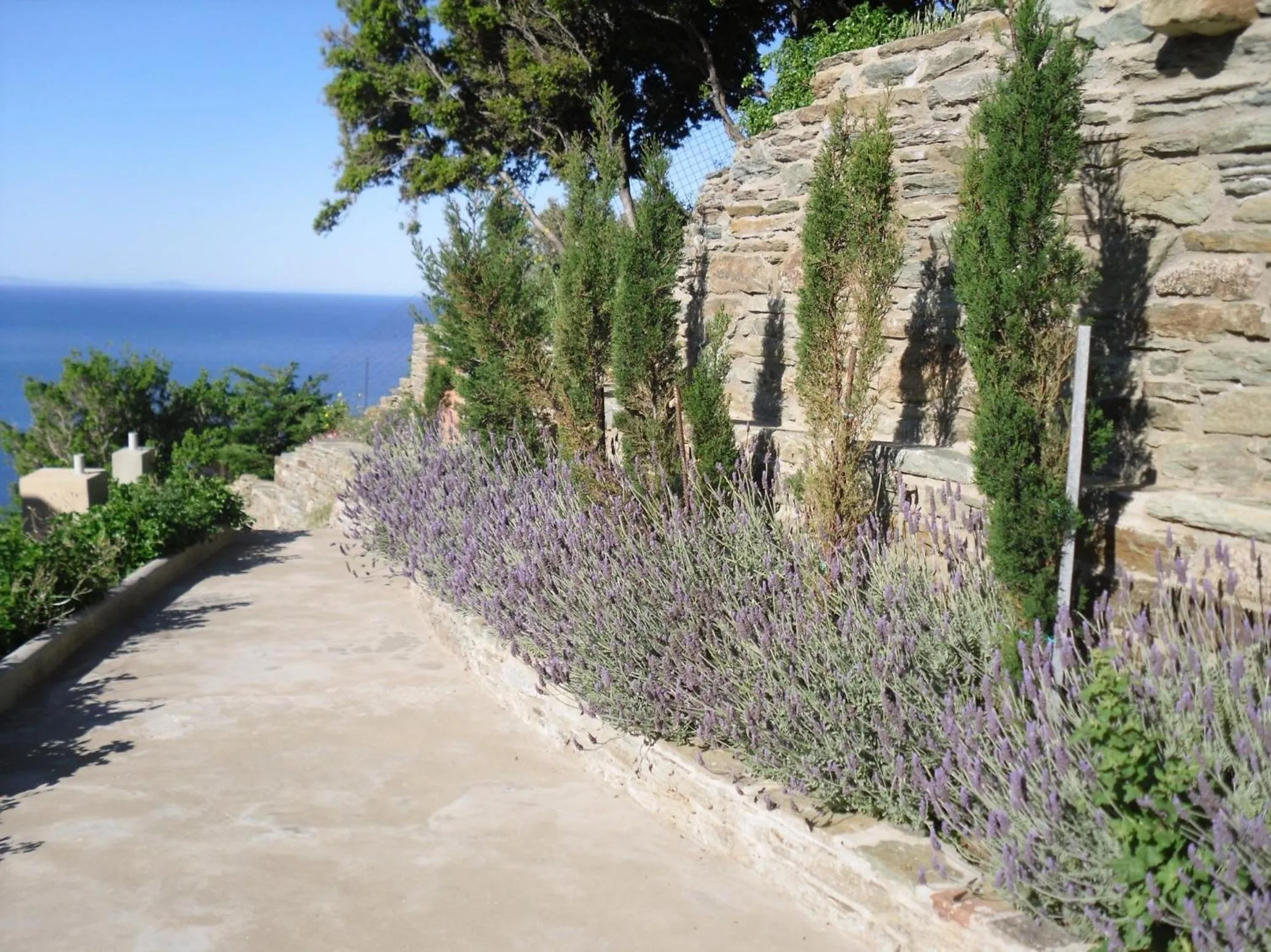 Garden in Aegean Castle Andros – Adults Only