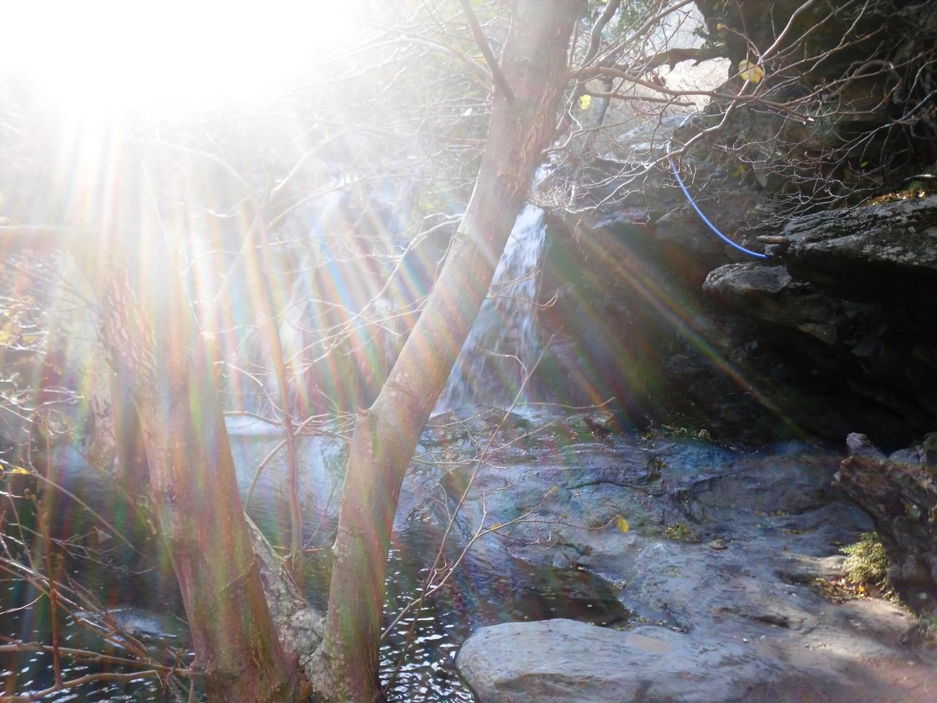 Area and facilities in Aegean Castle Andros – Adults Only