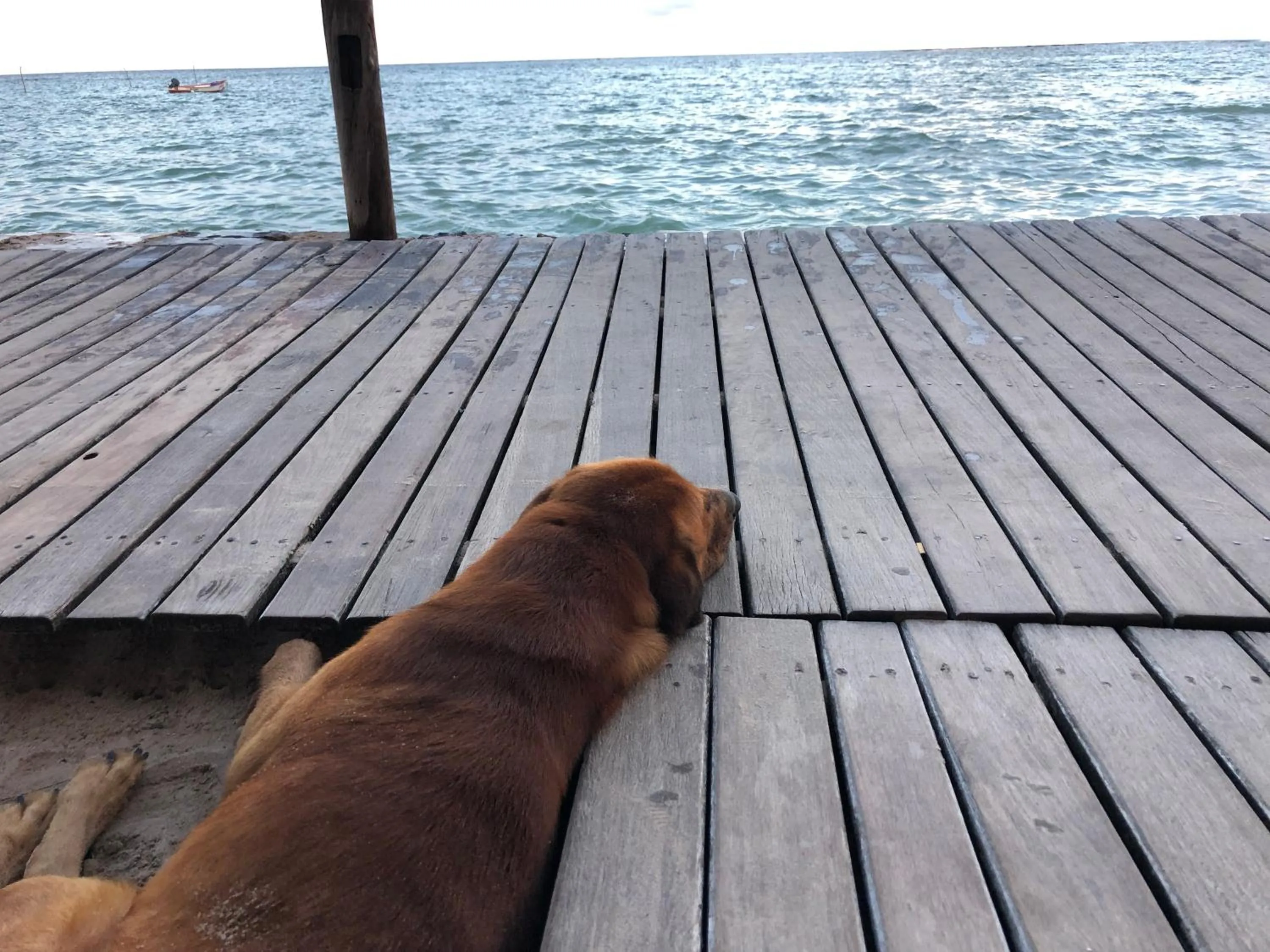 Pousada Tranquila