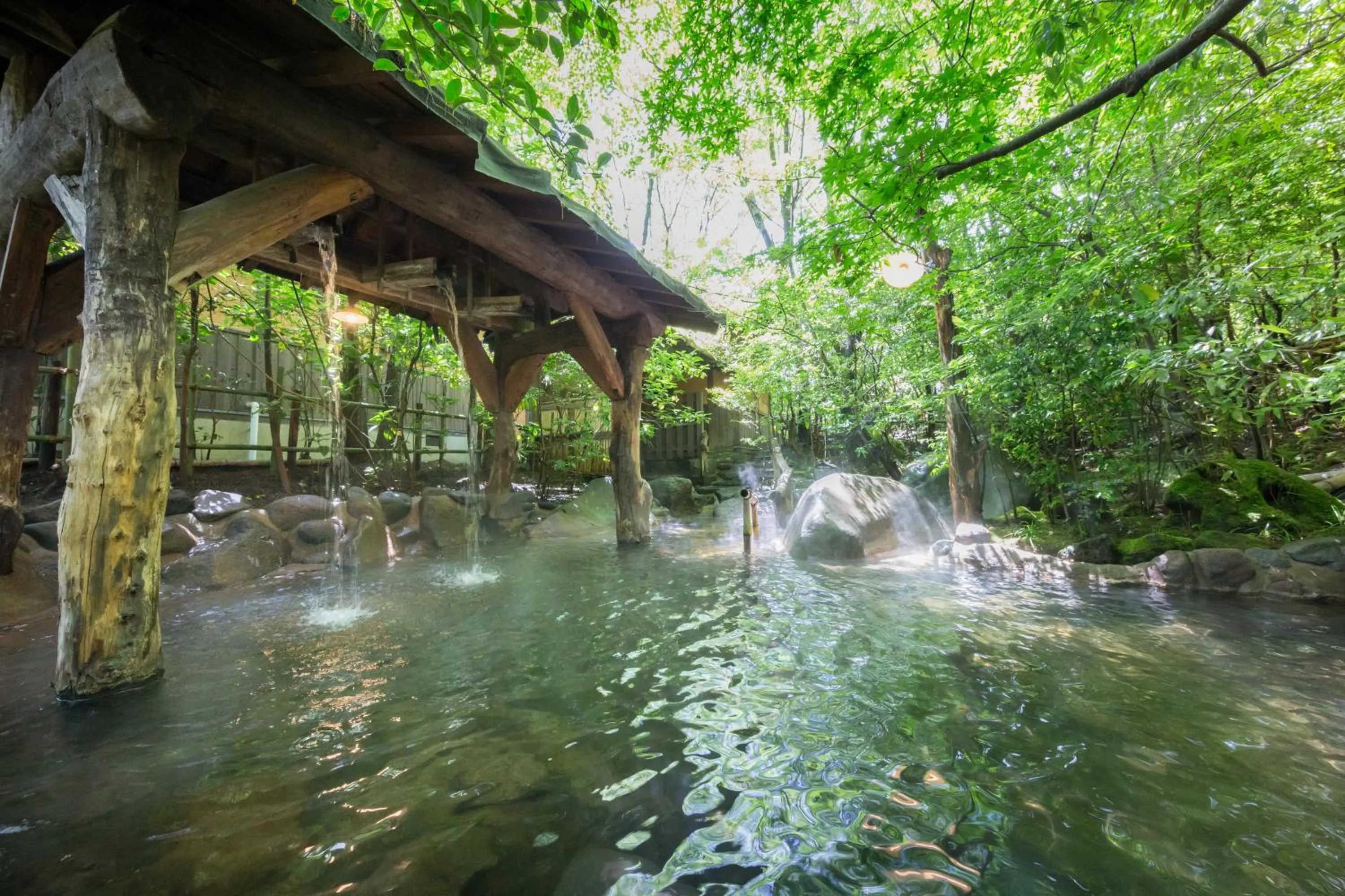 Hot Spring Bath in inn NOSHIYU