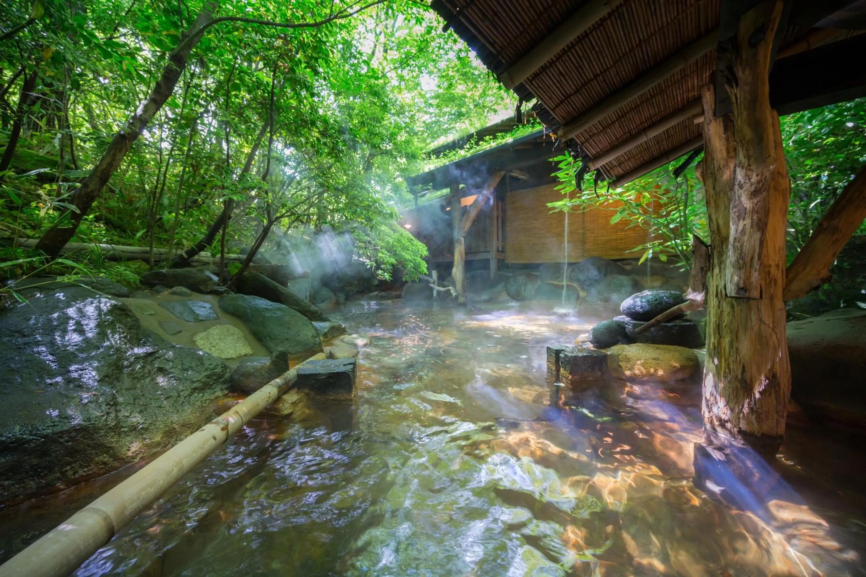 Hot Spring Bath in inn NOSHIYU