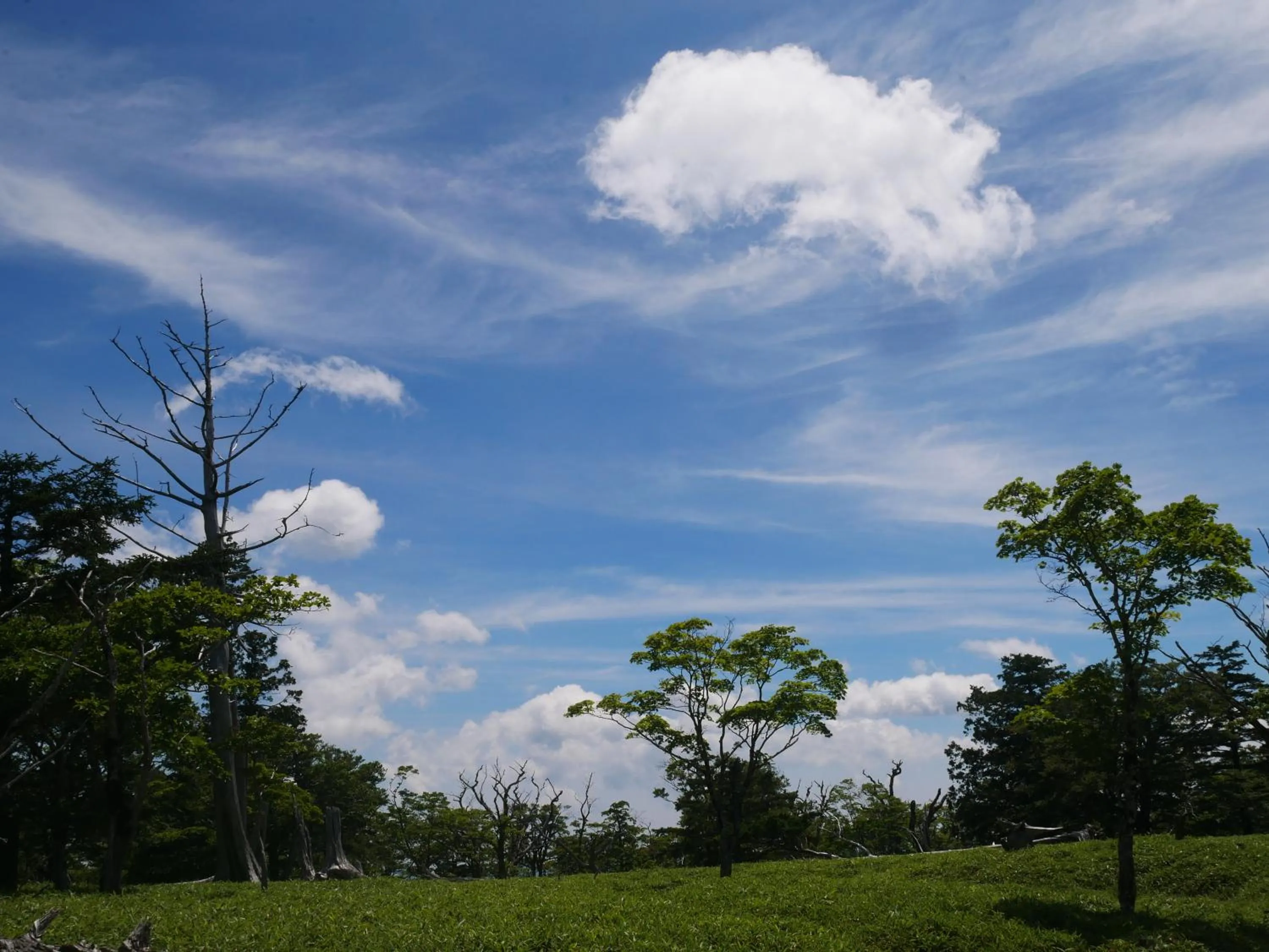 Hiking in フォレストかみきた Forest Kamikita