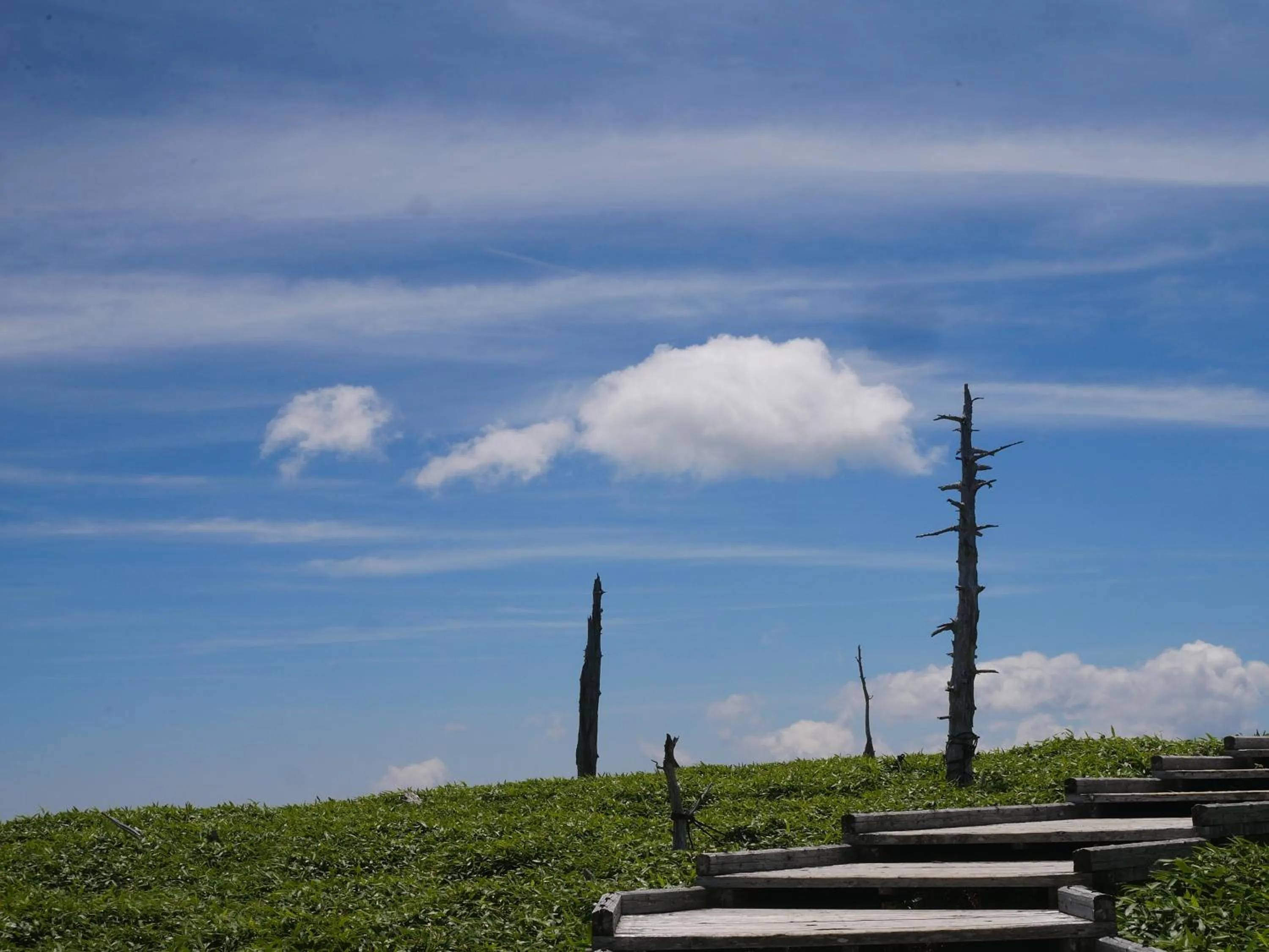 Hiking in フォレストかみきた Forest Kamikita