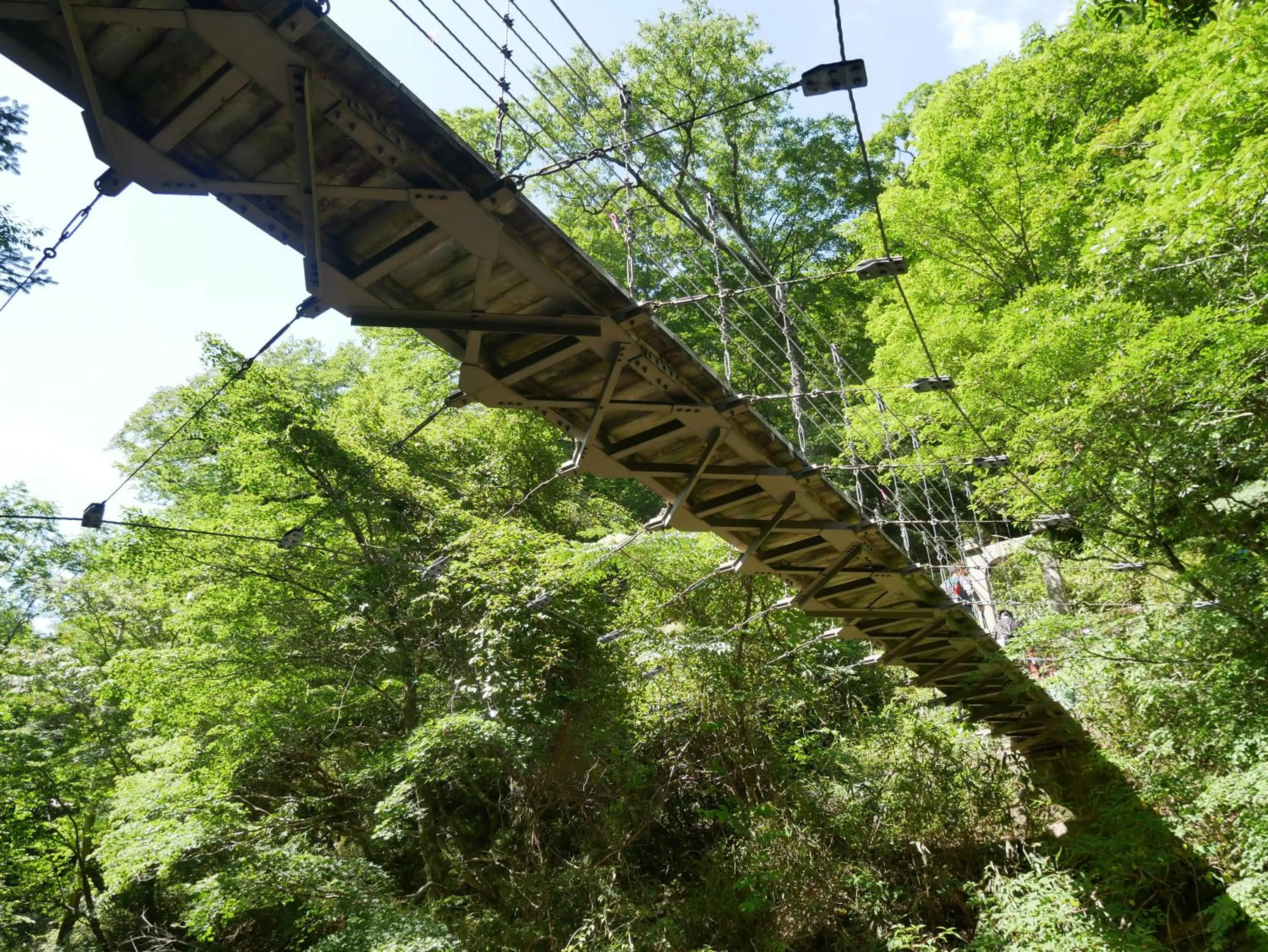 Hiking in フォレストかみきた Forest Kamikita