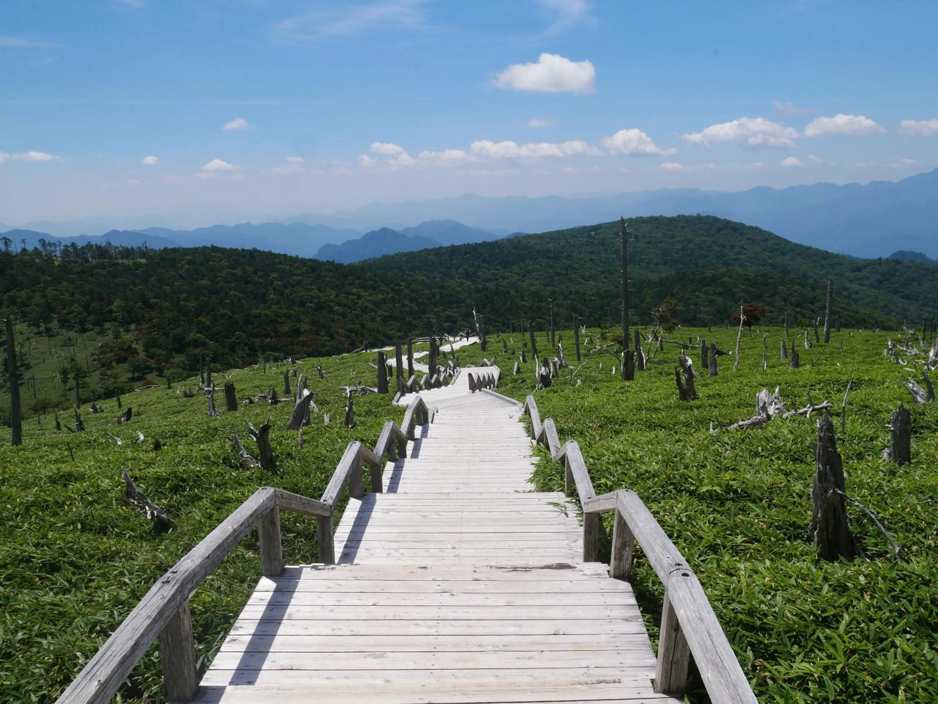 Hiking in フォレストかみきた Forest Kamikita