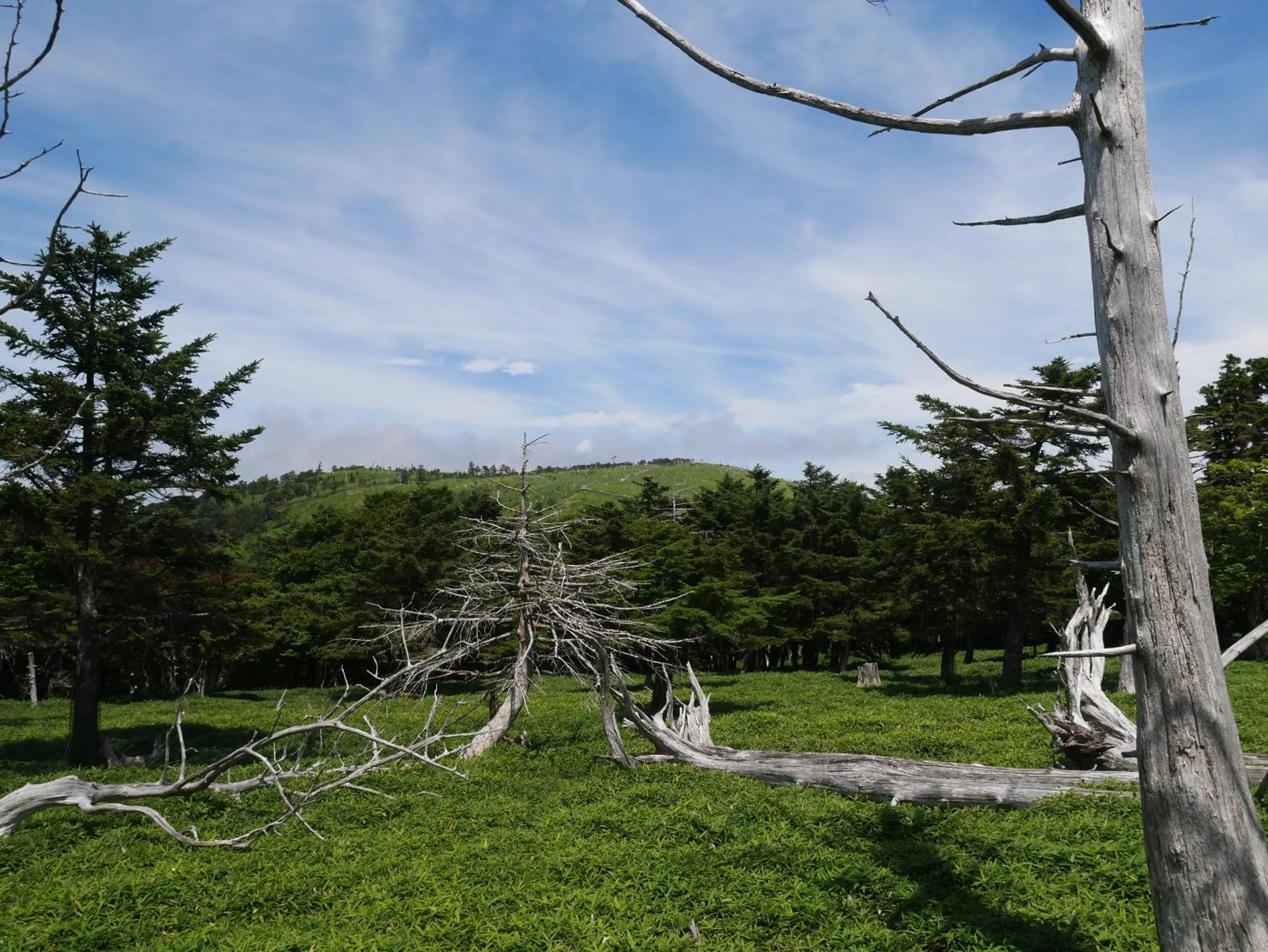Hiking in フォレストかみきた Forest Kamikita