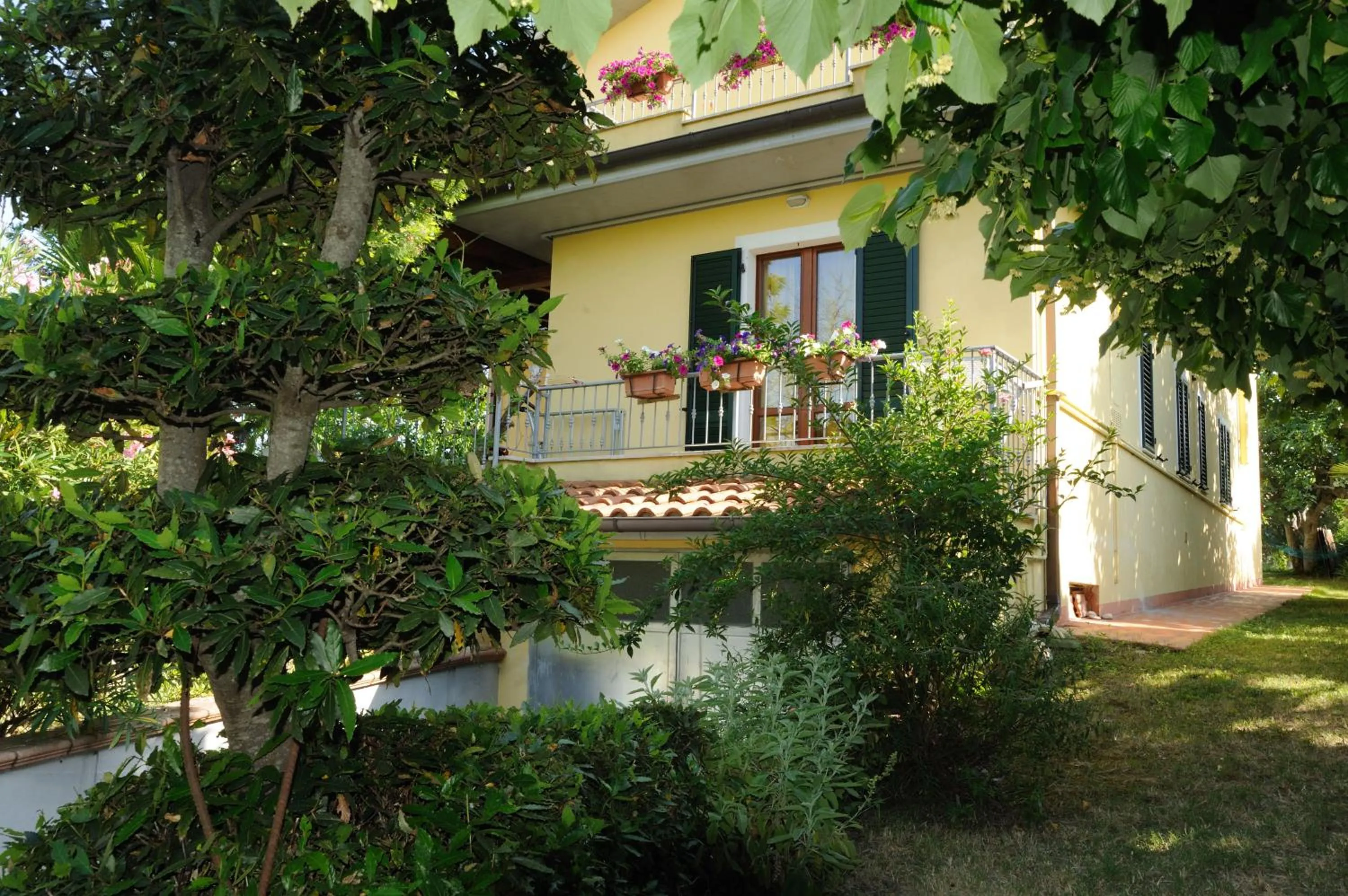 Garden in Nonno Pio