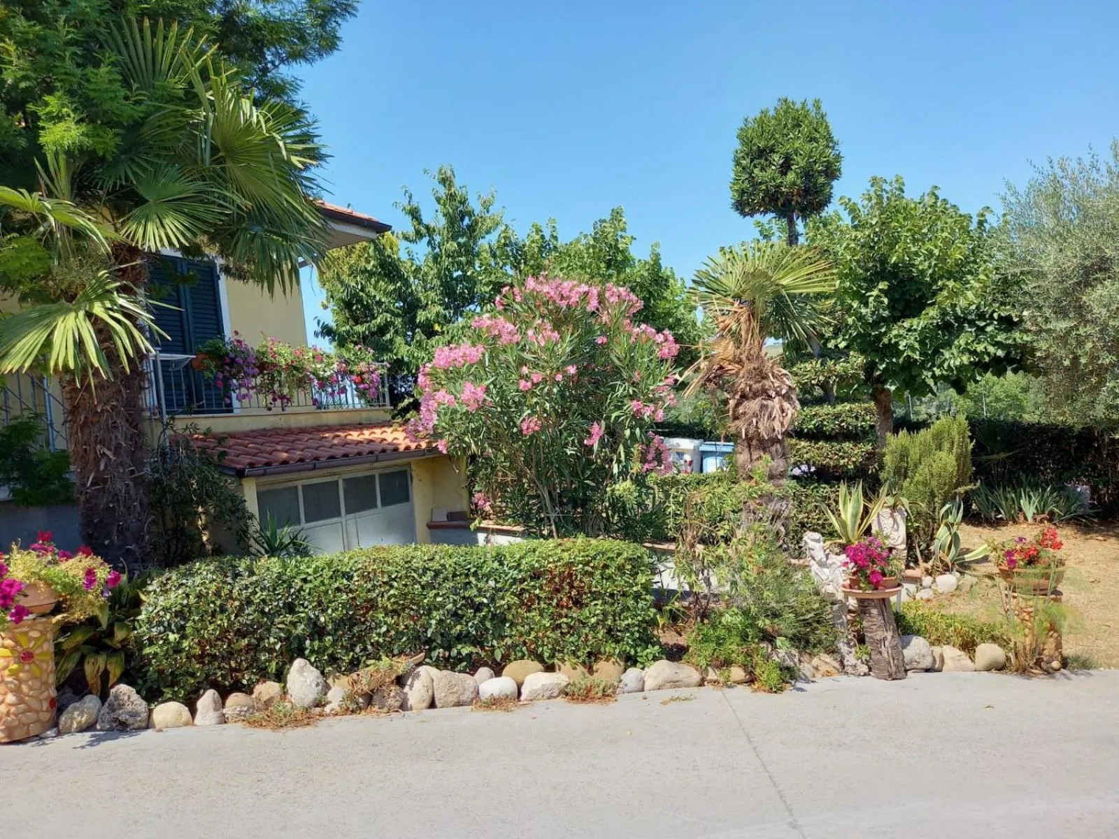 Garden in Nonno Pio