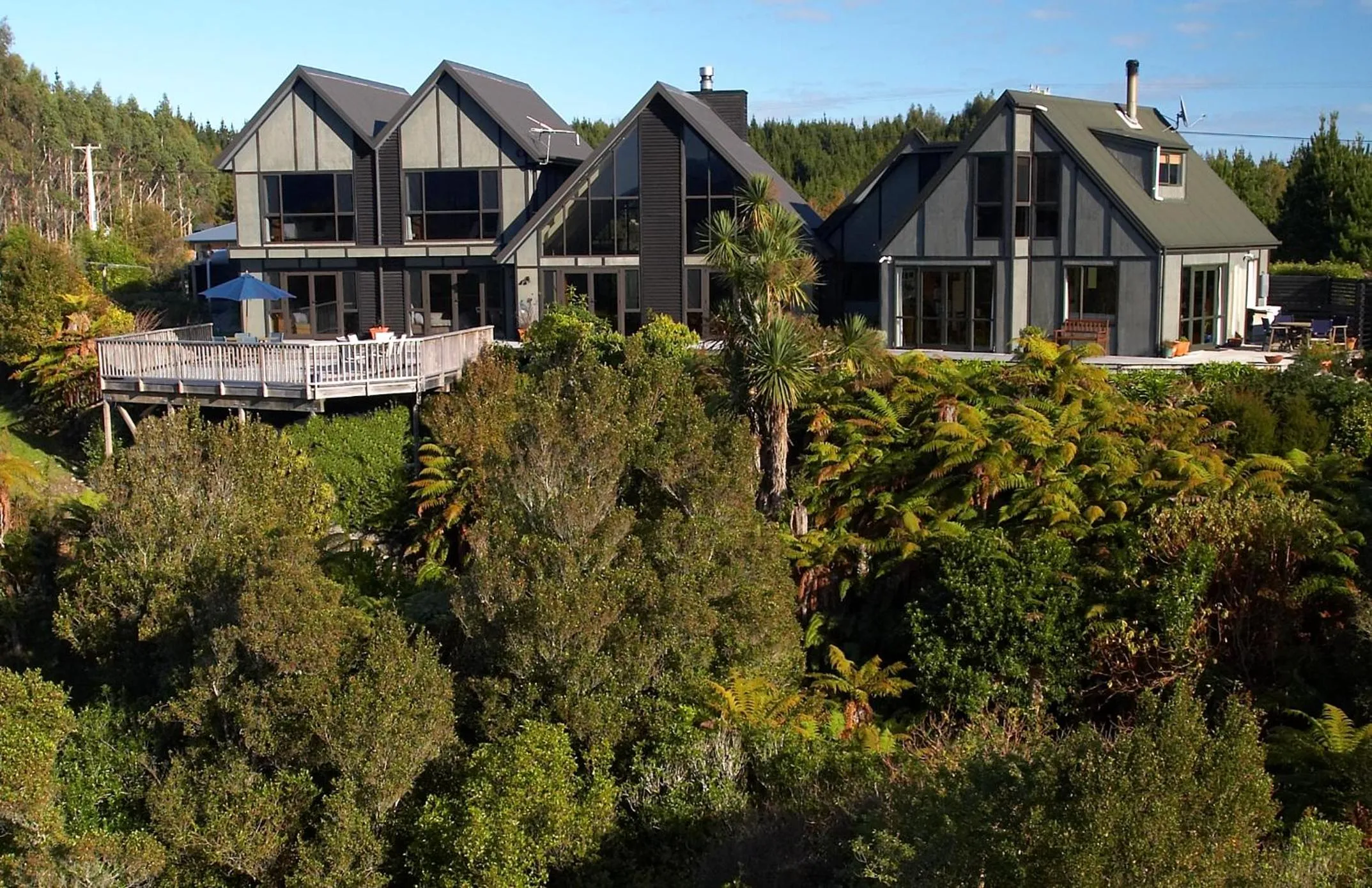 Bird's eye view in Rimu Lodge