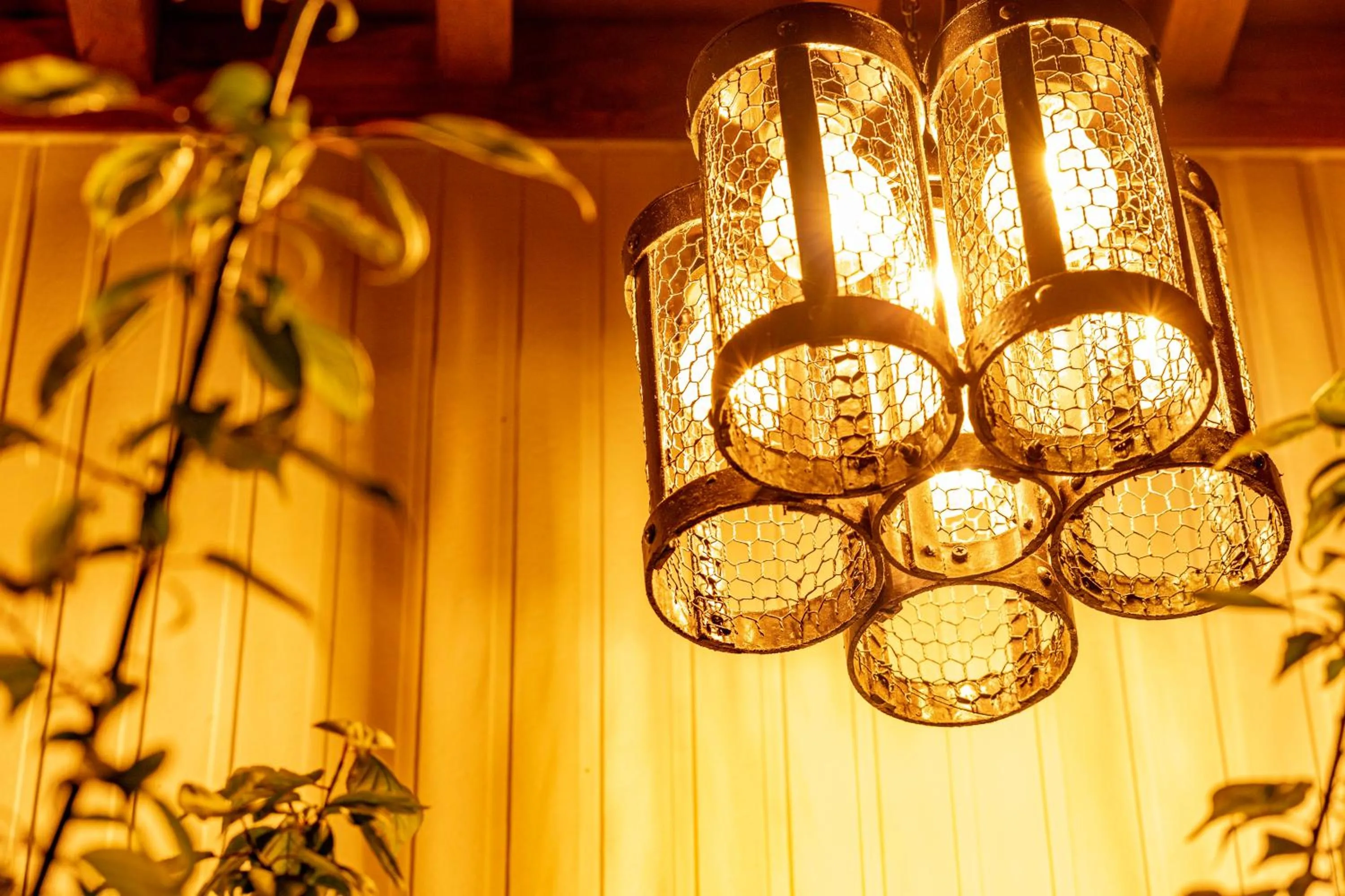 Area and facilities in Sendai Guest House UMEBACHI