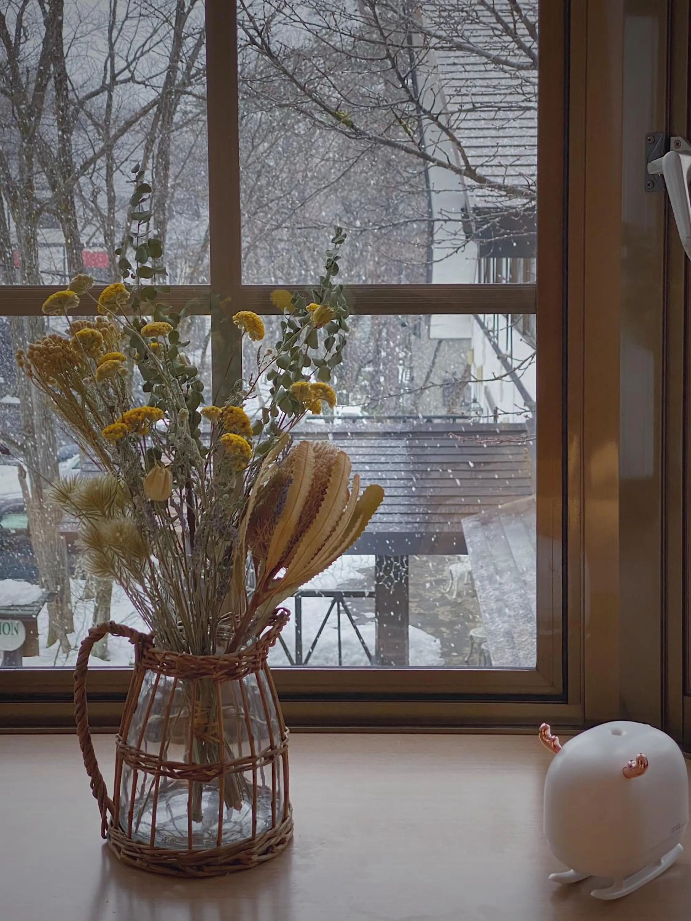 Winter in Apricot Pension