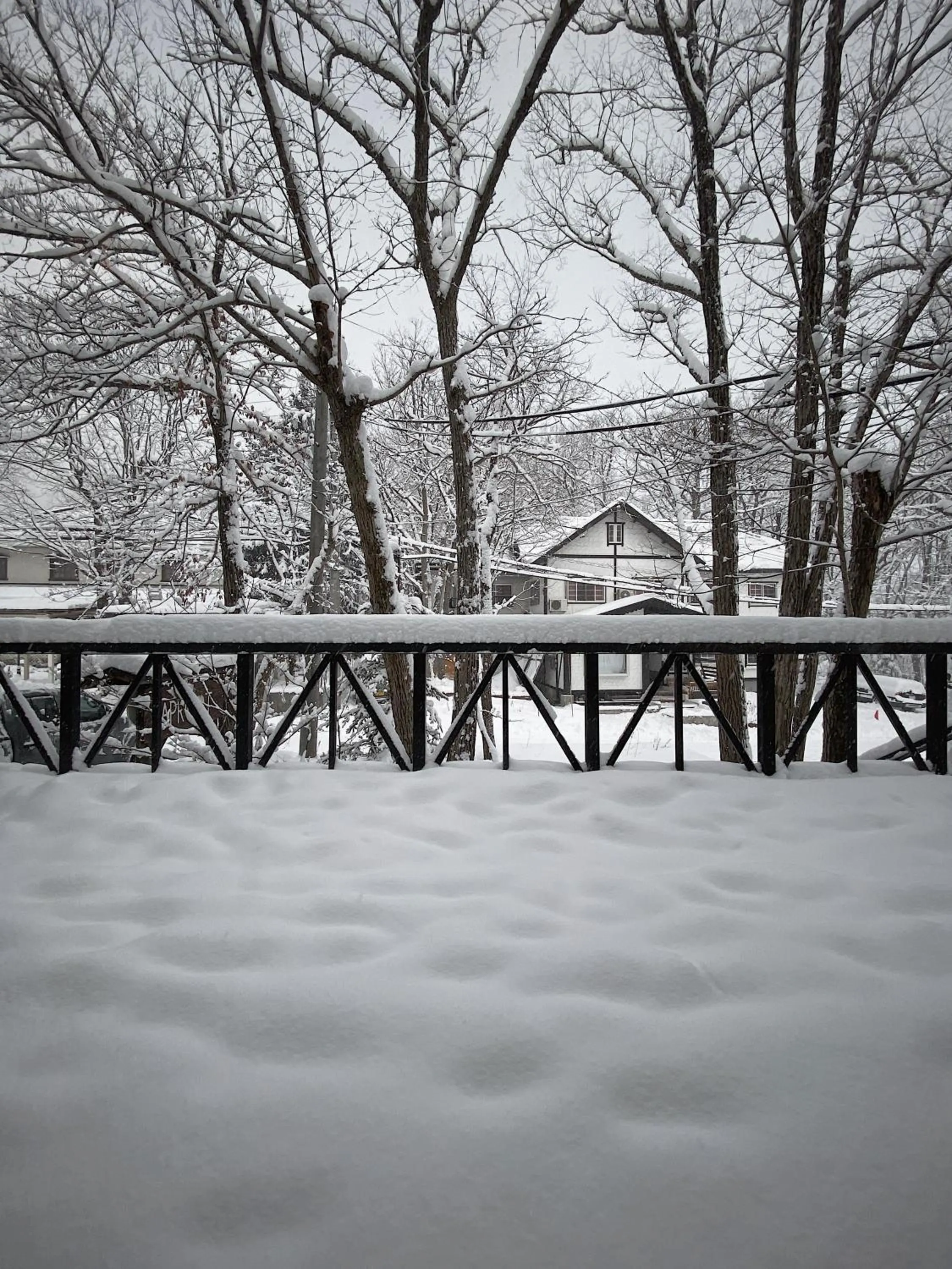 Day in Apricot Pension