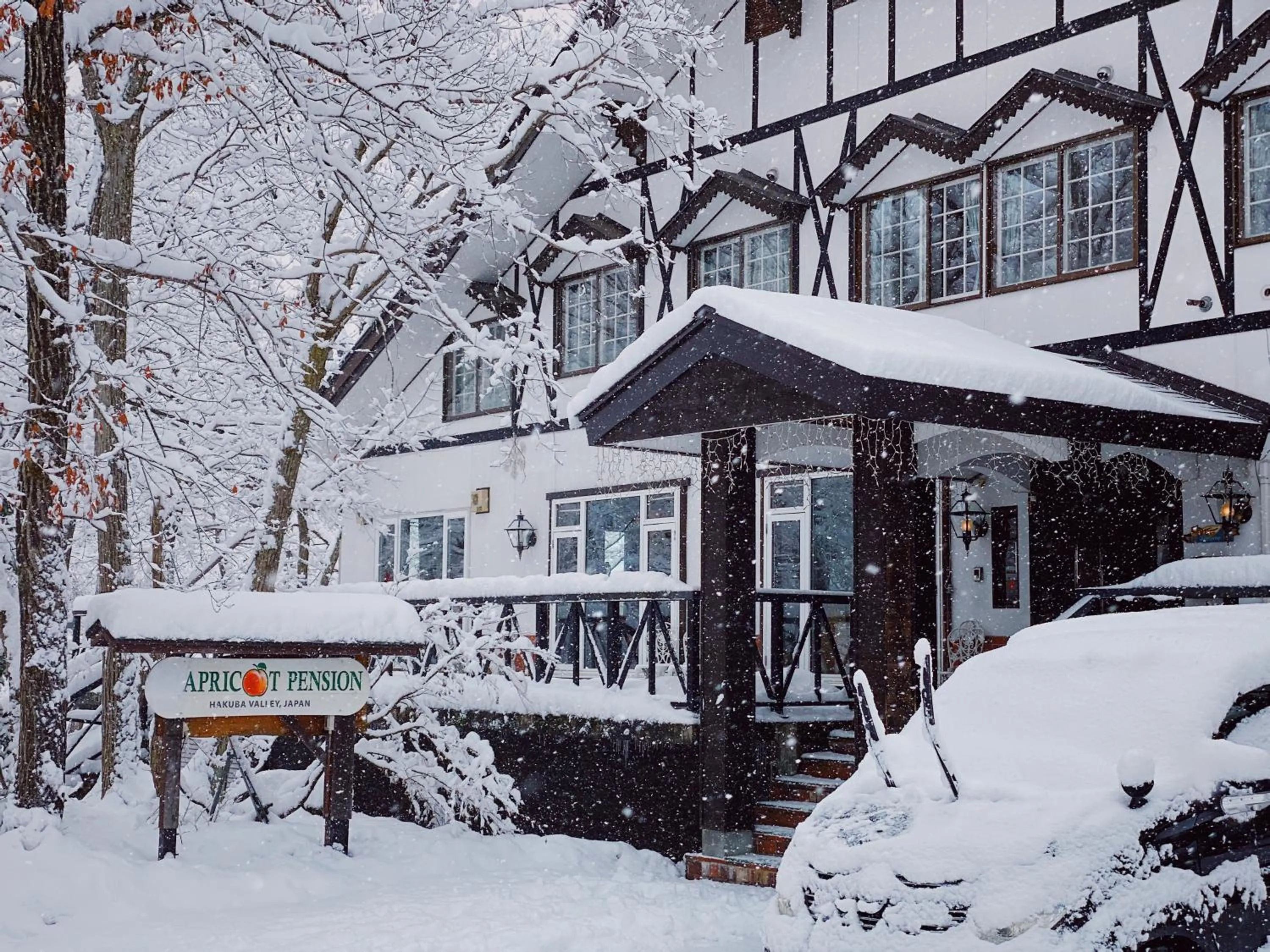 Property building in Apricot Pension