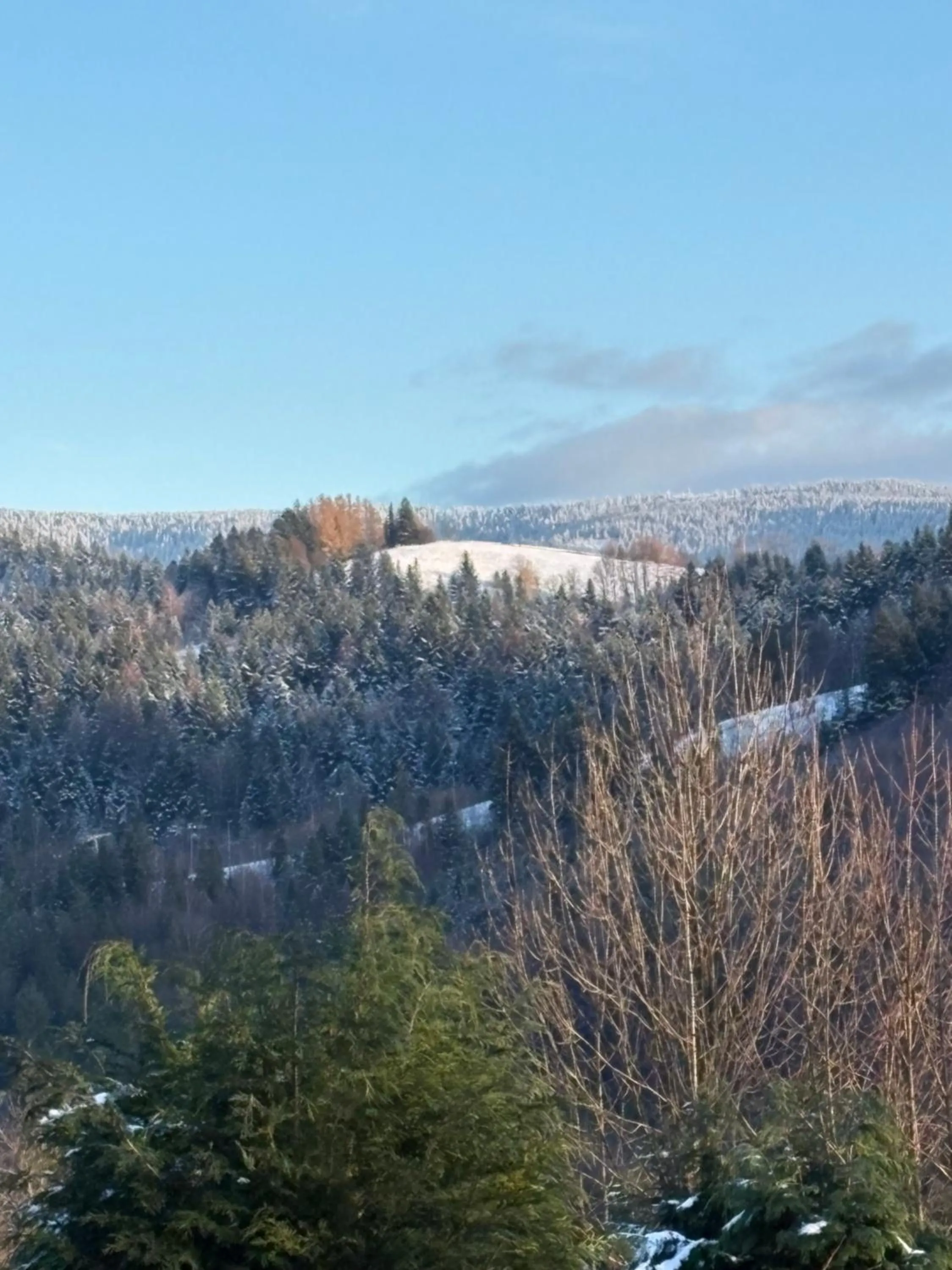 View (from property/room) in U Janka