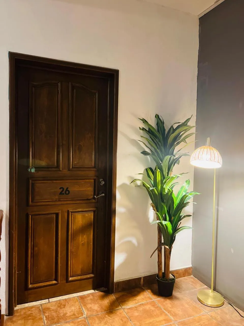 Other in Hotel Colonos Los Cabos