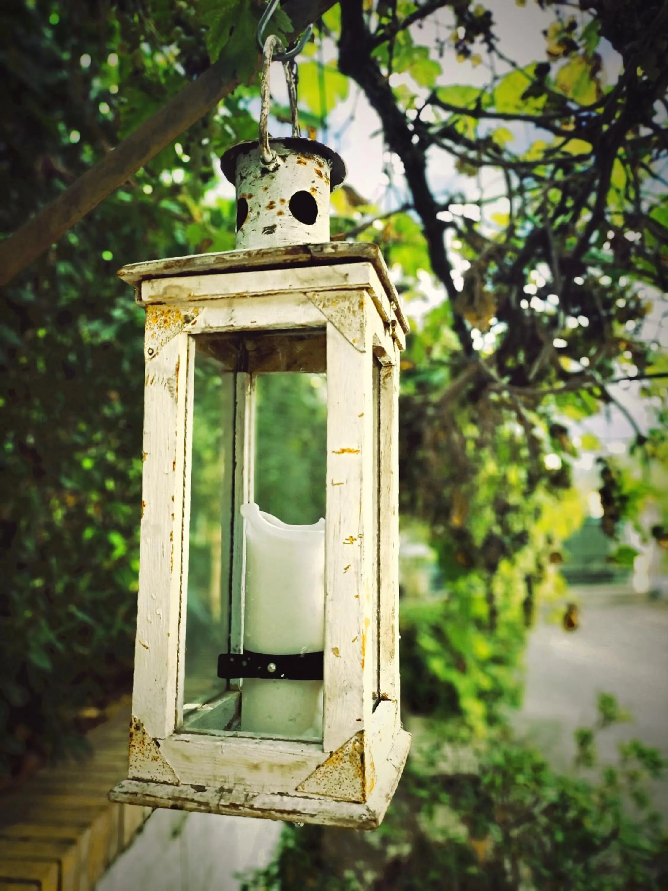 Garden in La casa sul tetto, Room's & Glamping